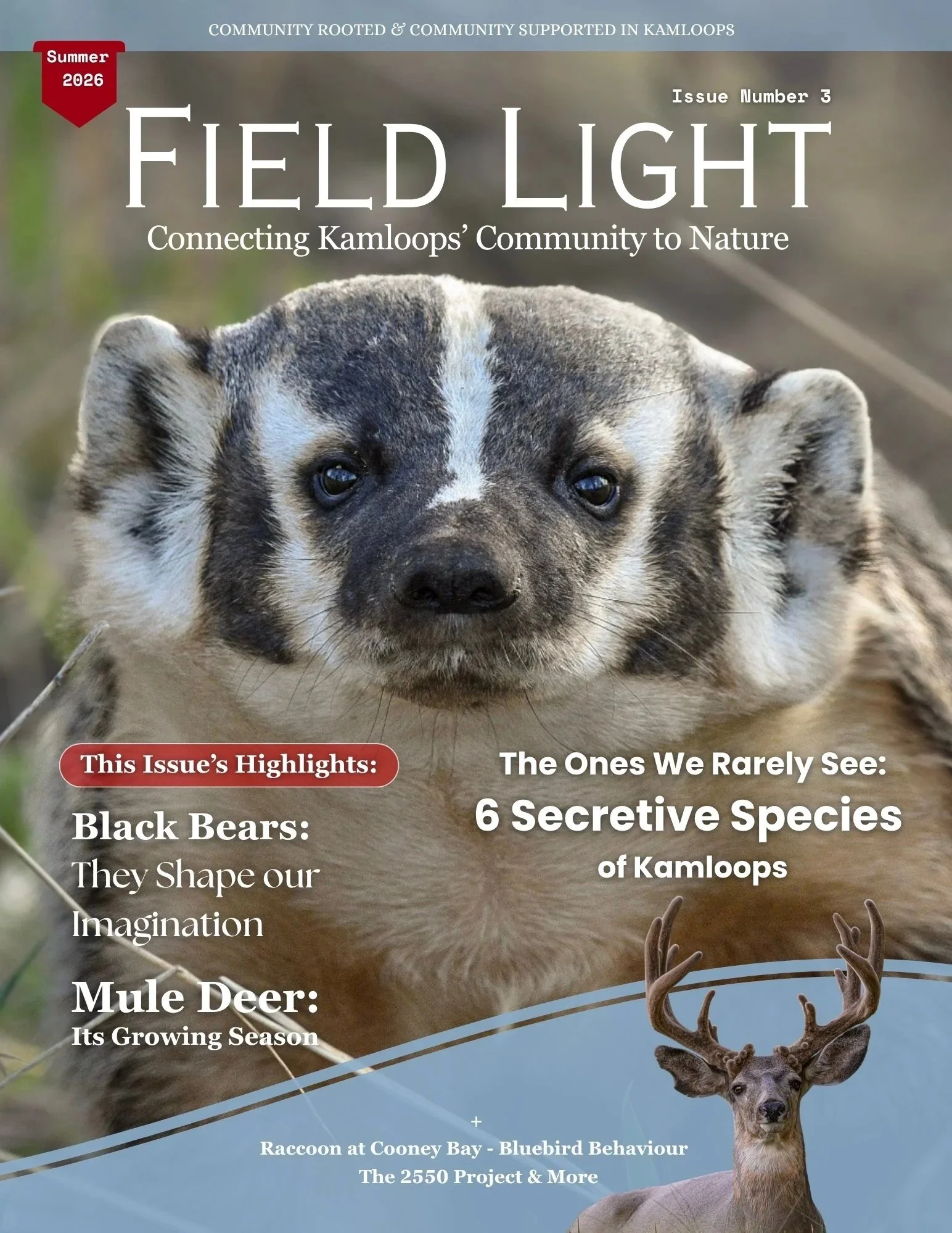 Field Light Magazine Issue 3