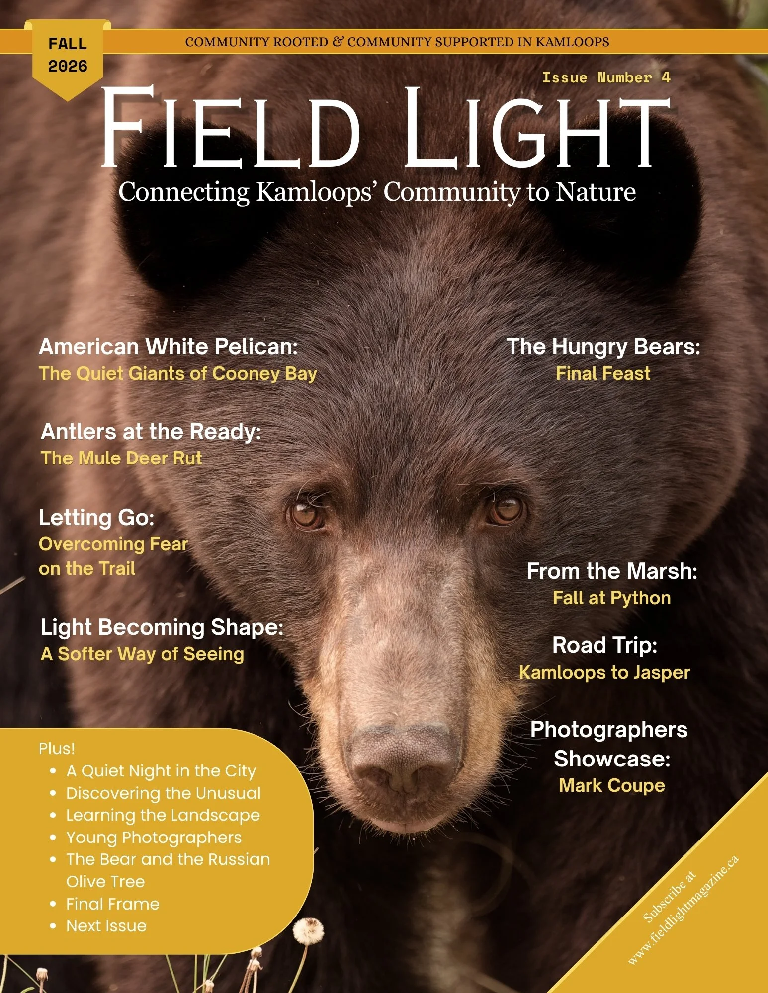 COVER (16).jpg