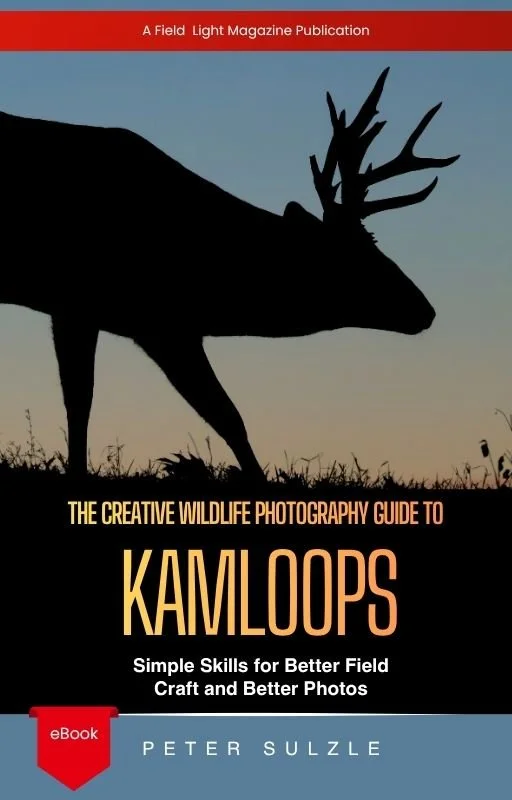 The Creative Wildlife Photography Guide to Kamloops