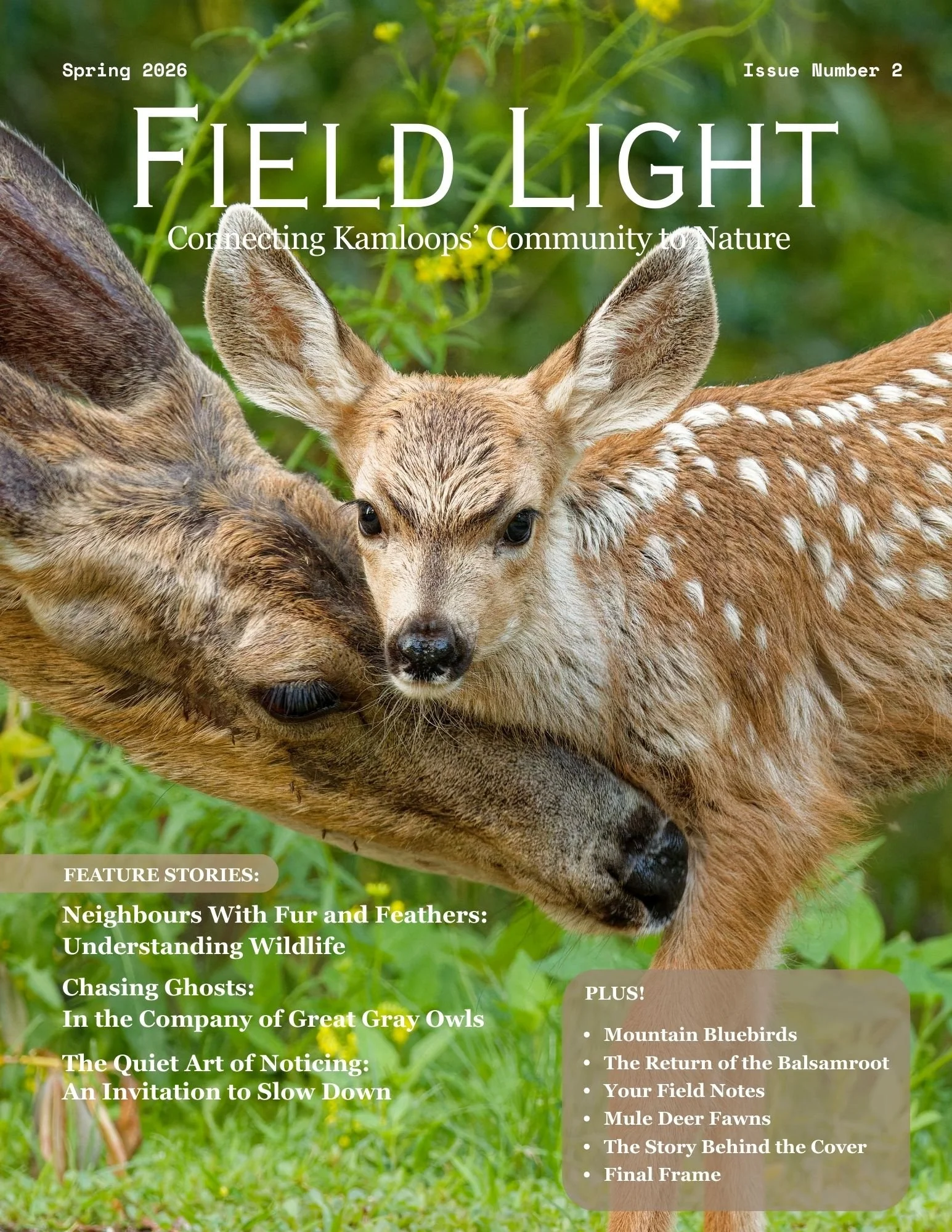 Field Light Issue 2