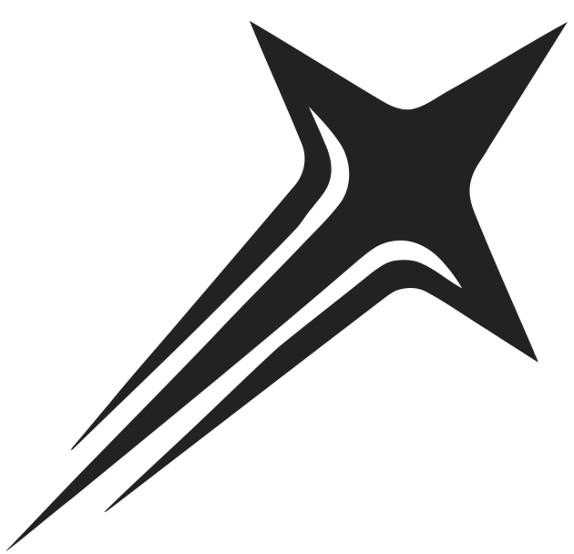 A stylized black star with elongated points and sharp edges.