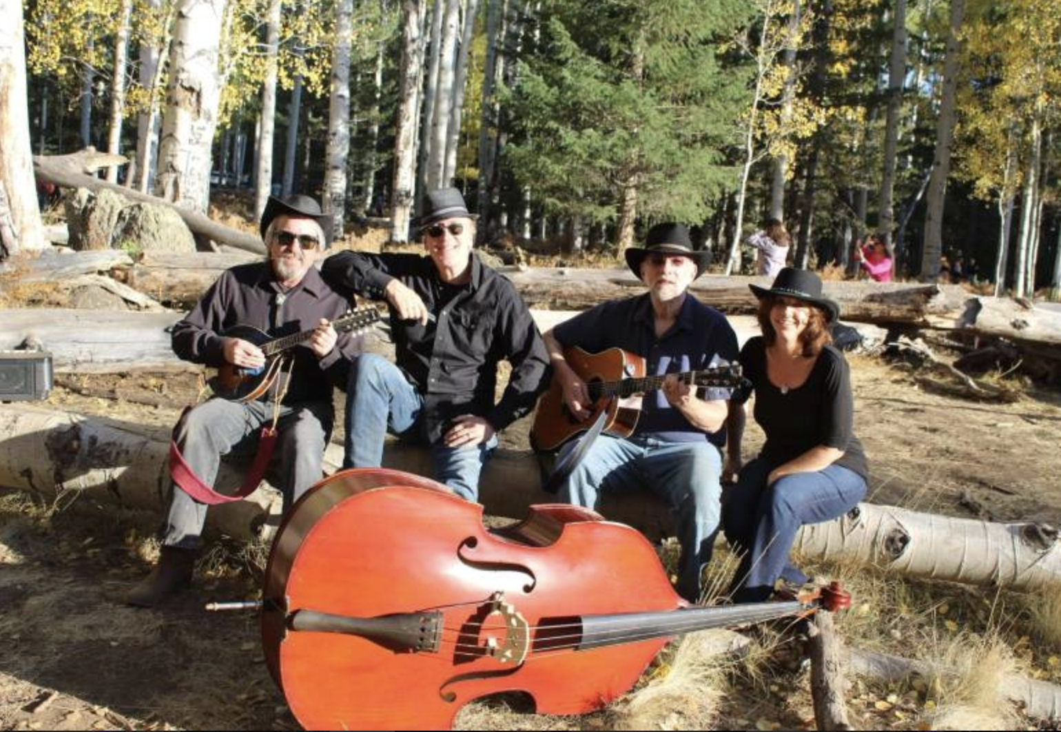 Four musicians wearing cowboy hats and dark clothing sitting outdoors in a forest, playing guitars and a mandolin, with a large upright bass instrument on the ground in front of them.