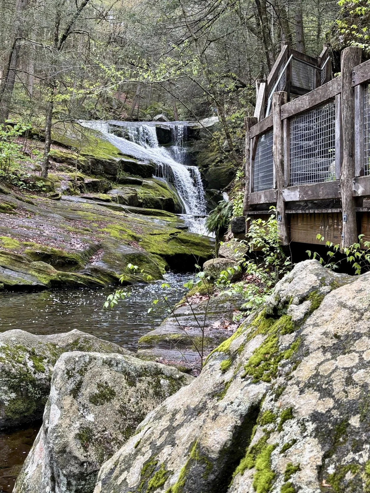 Roaring Falls and Rock-Skipping Lessons: Hike 4 at Enders Falls