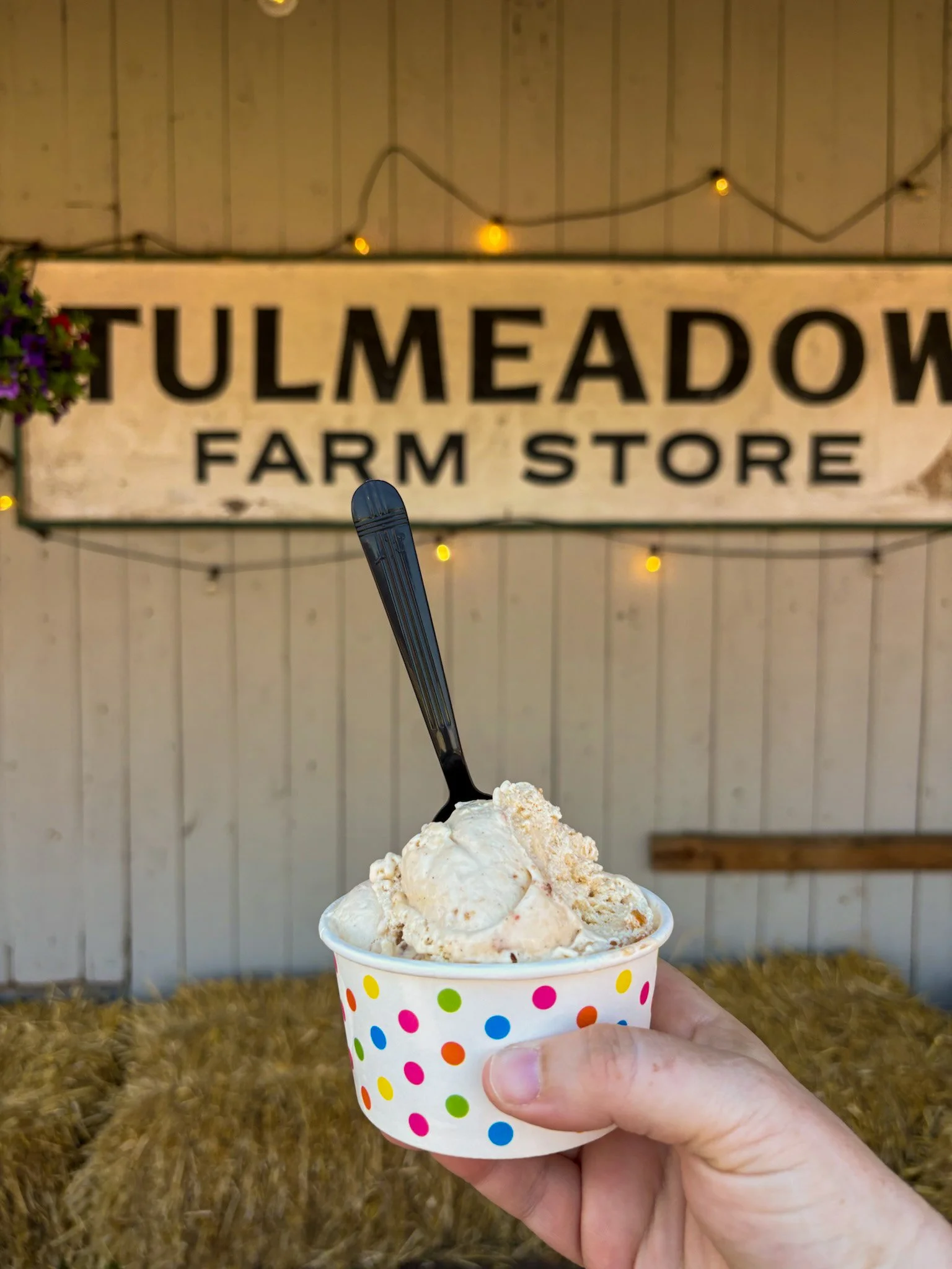 Tulmeadow Trail (Or: A Lesson in Justifying Ice Cream as a Post-Hike Reward)