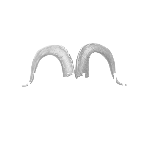 GrayMGMT