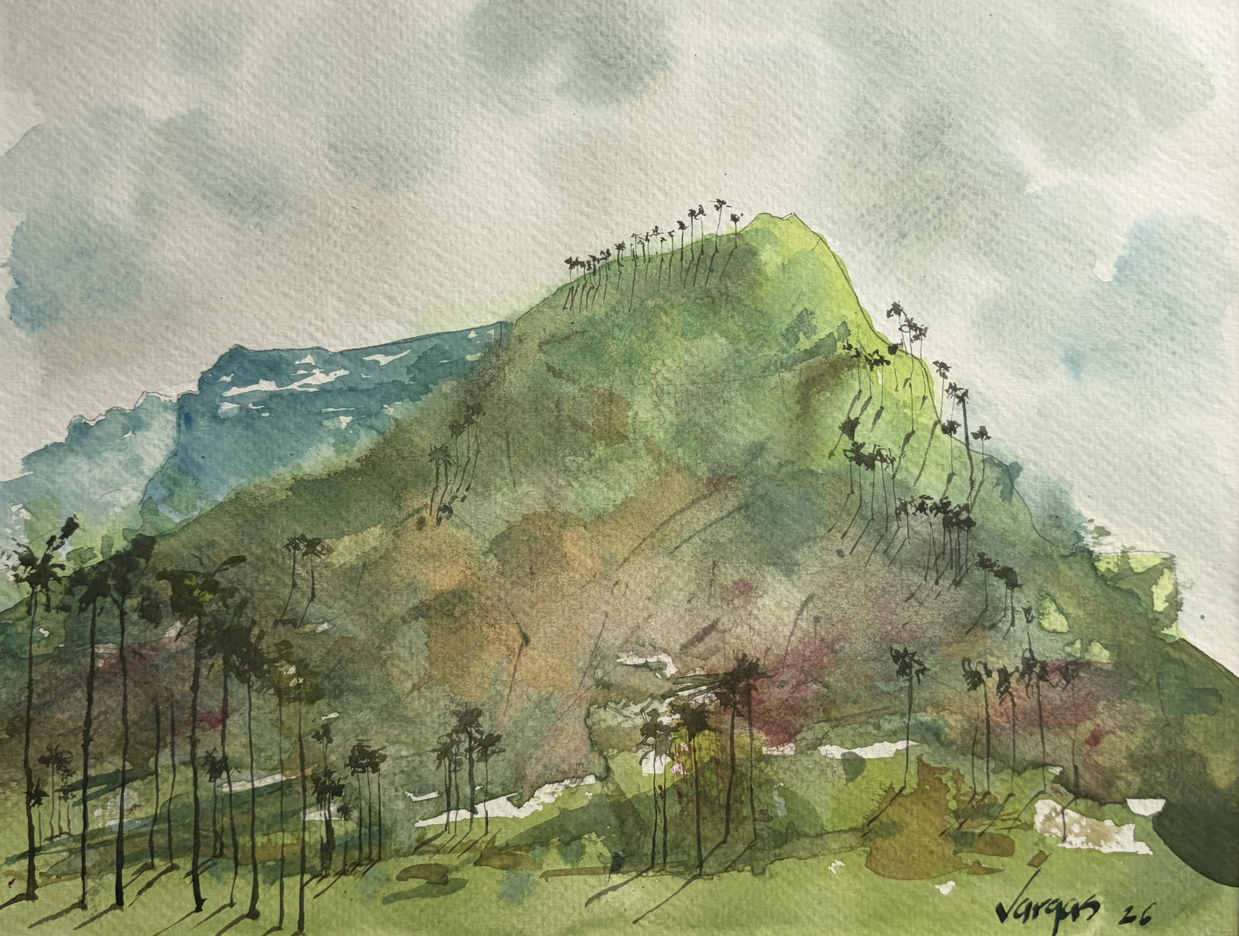 Cerro en el Quindío