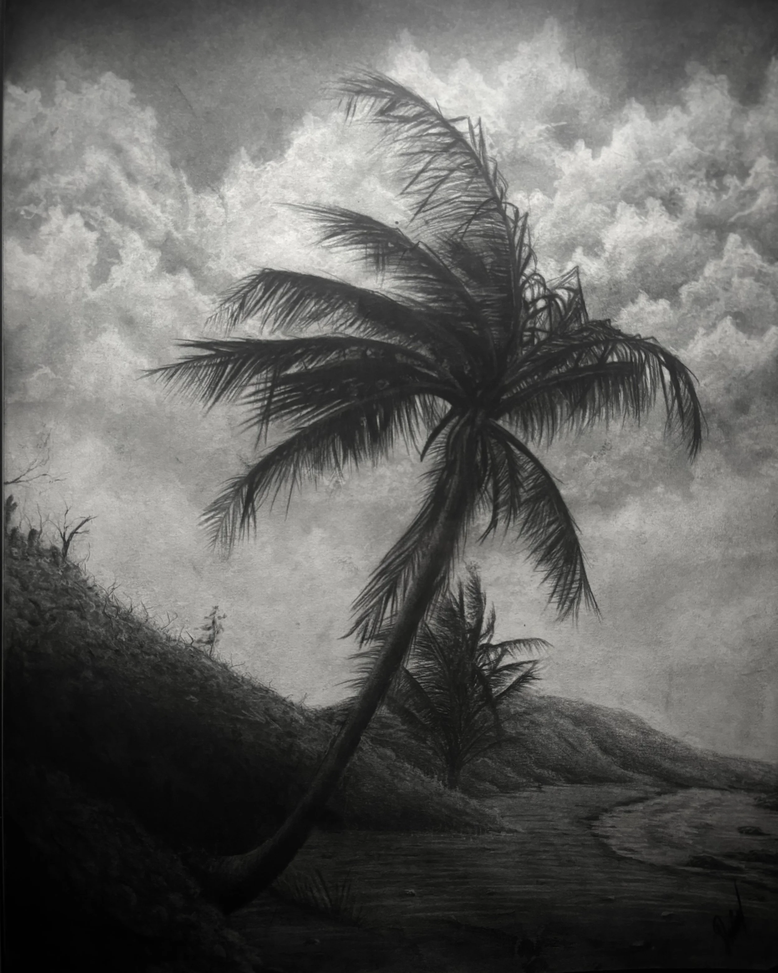 "Coming Home" Sold 11x14in Charcoal 2024
