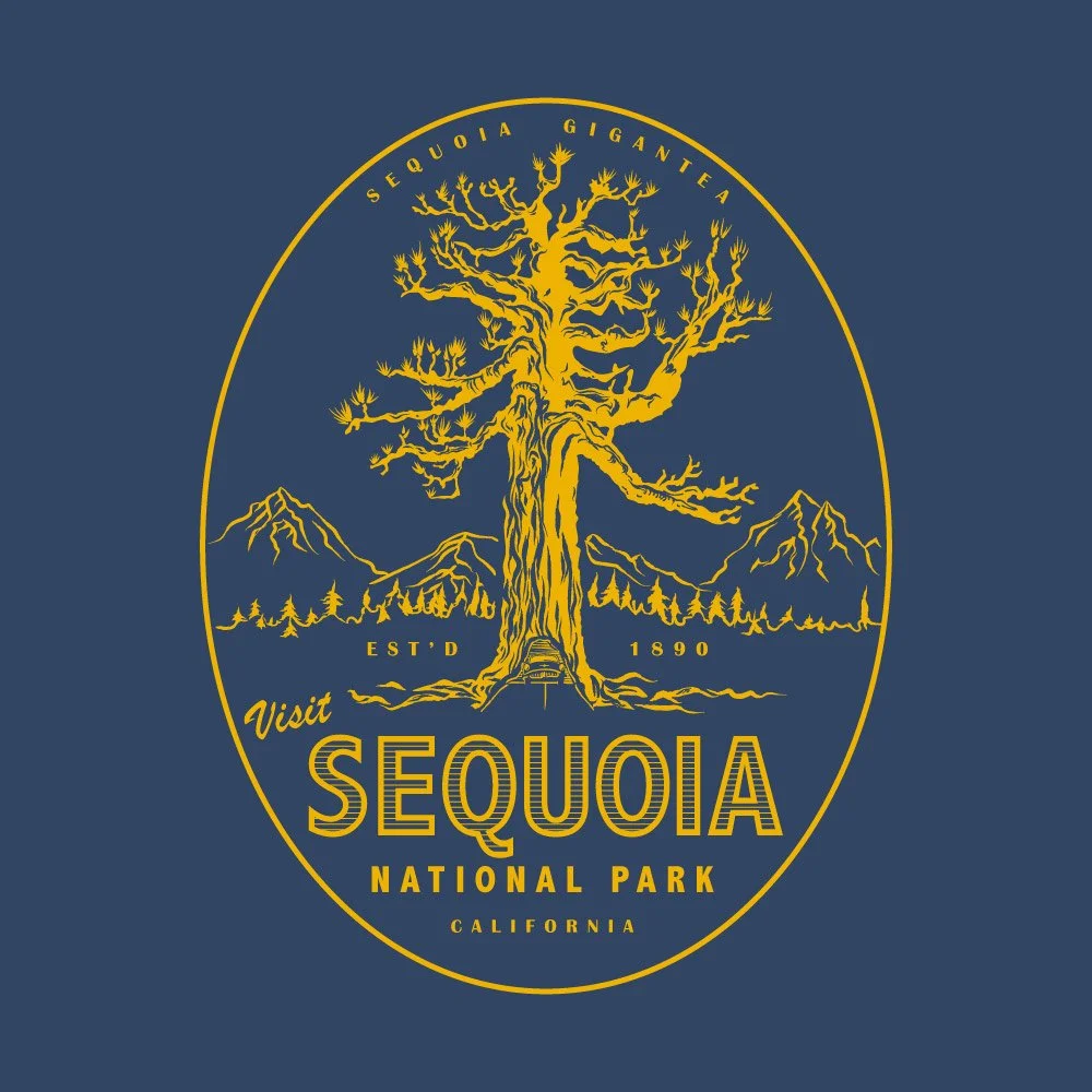 sequoia-national-park-illustrated-art.jpg