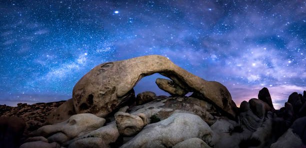 The Ultimate Guide to Joshua Tree National Park