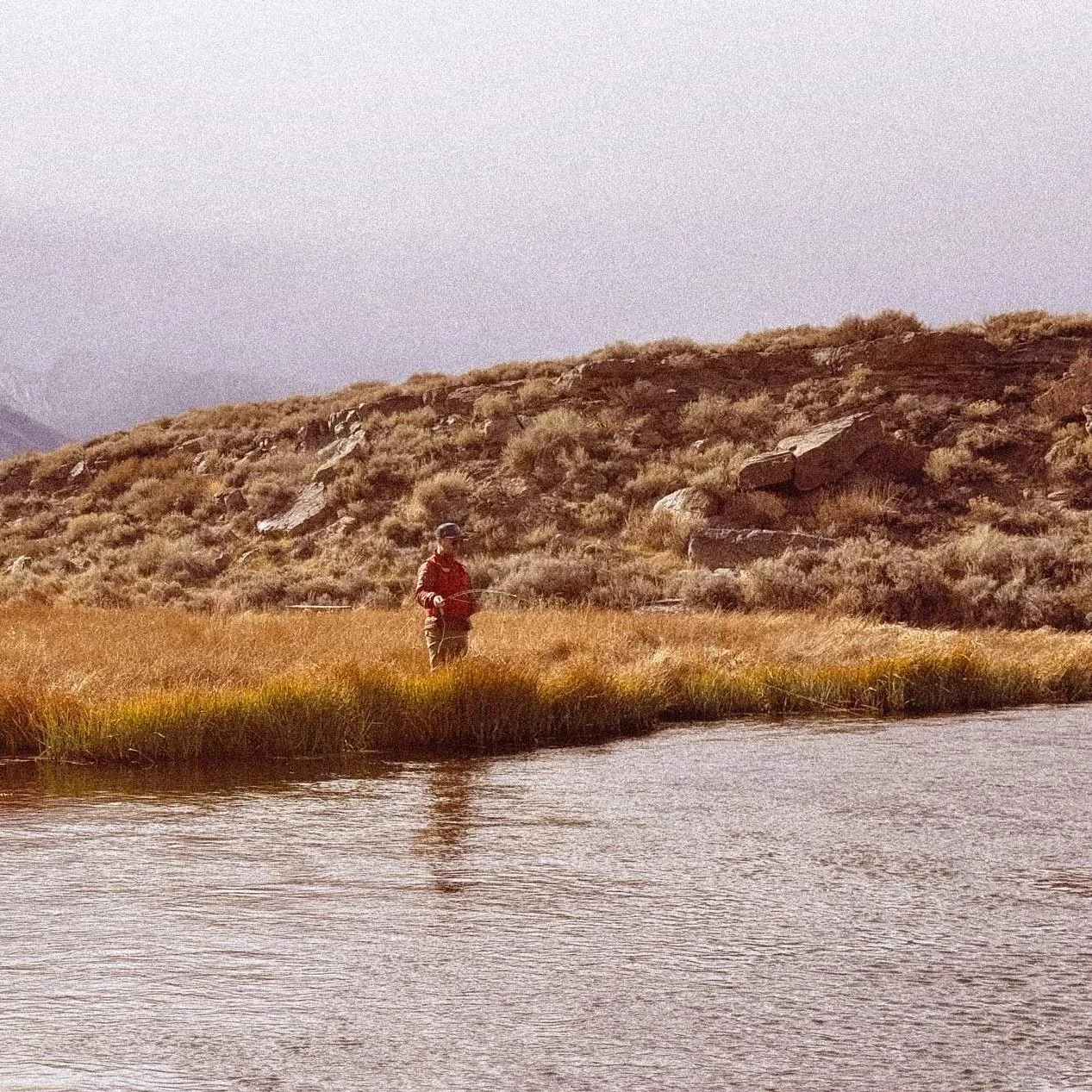 Fishing the Owens River: Current Conditions &amp; Eastern Sierra Guide
