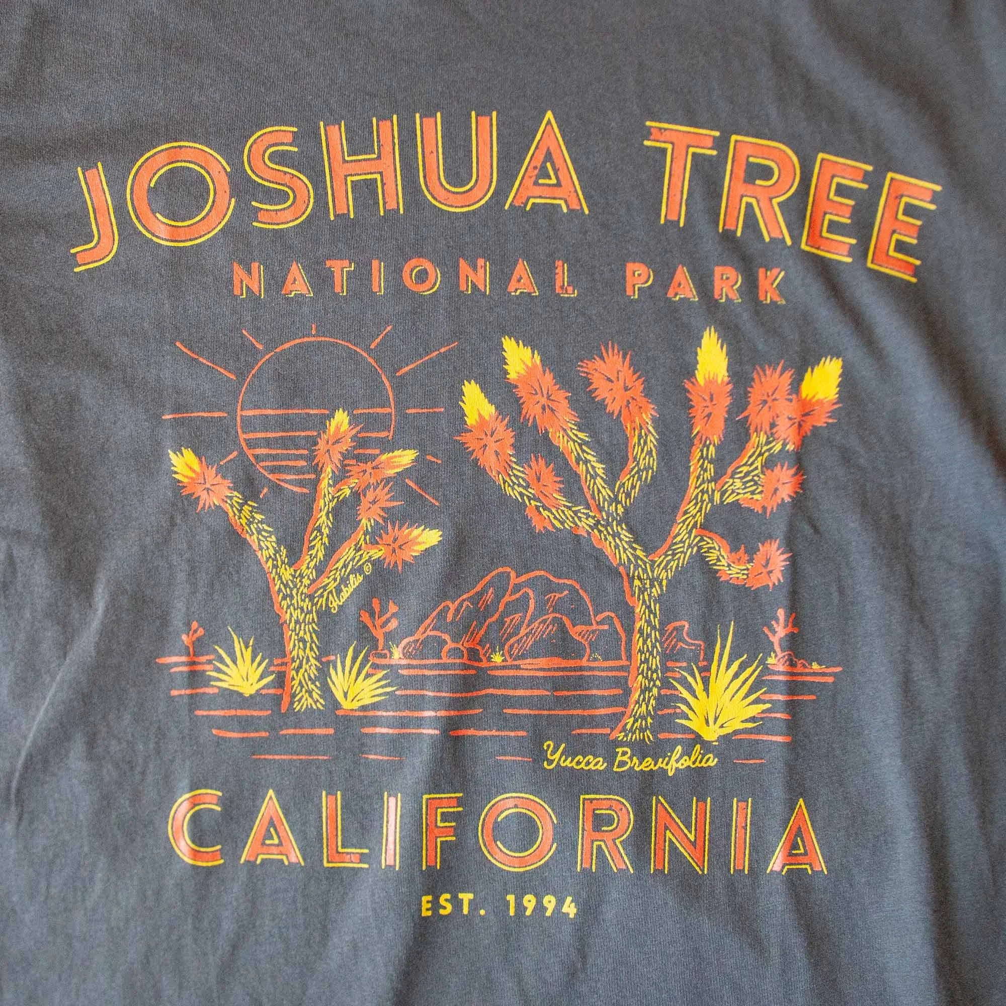 joshua tree national park screen printed art
