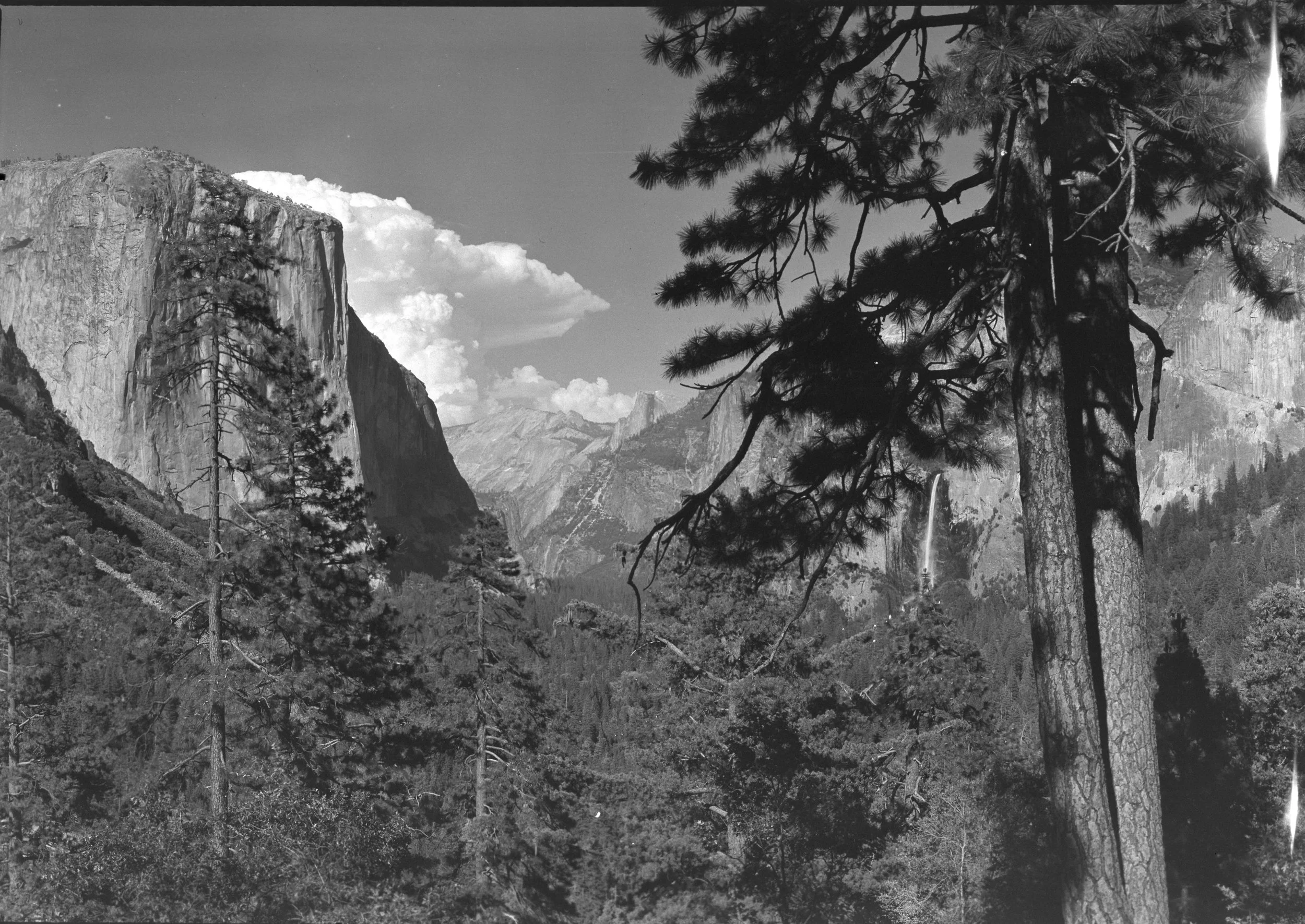 A view of Yosemite Valley within Yosemite National Park. With views of El Capitan and Half Dome in the distance.