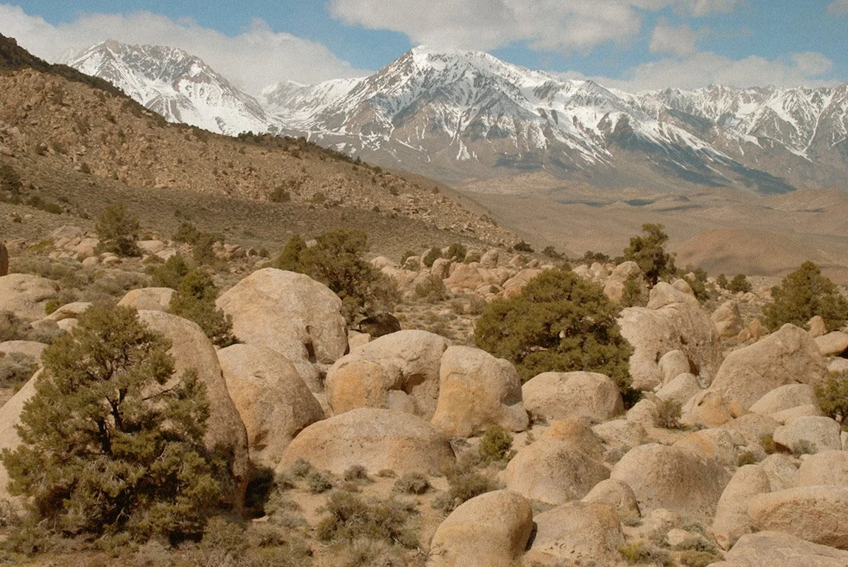 Photo of The Druid Stones above Bishop, CA