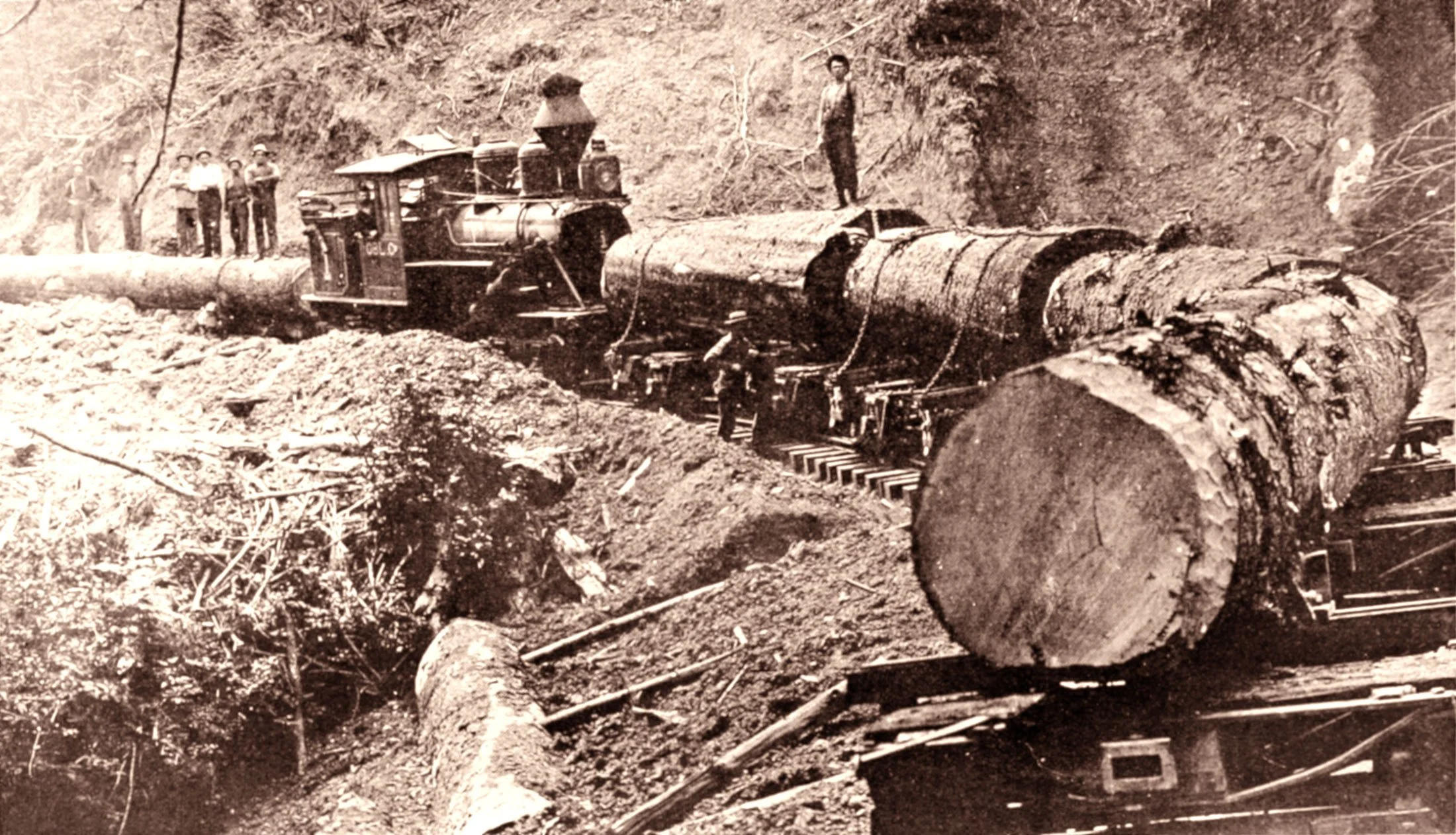 Historic logging operation in Oregon, showing large logs being transported by rail.