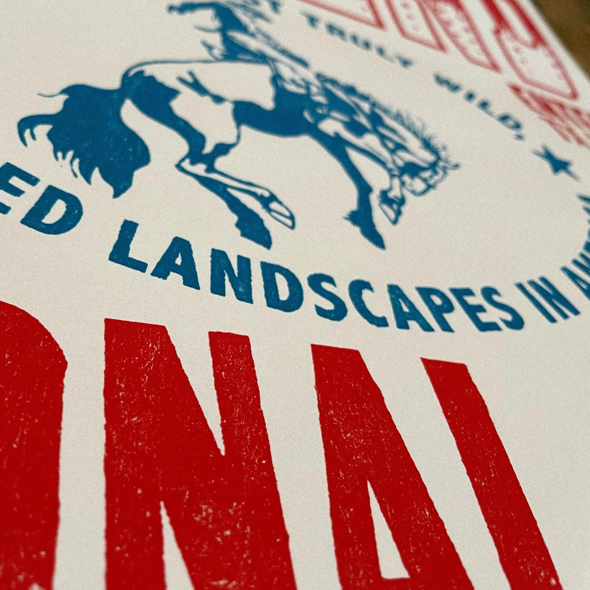 big-bend-poster-closeup-03.jpg