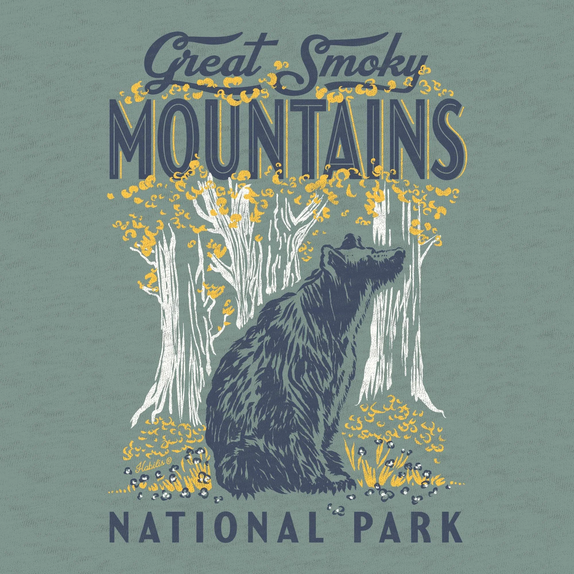 GreatSmokyMountains_ART2.jpg