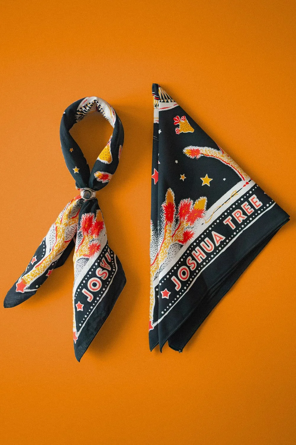 a folded joshua tree bandana