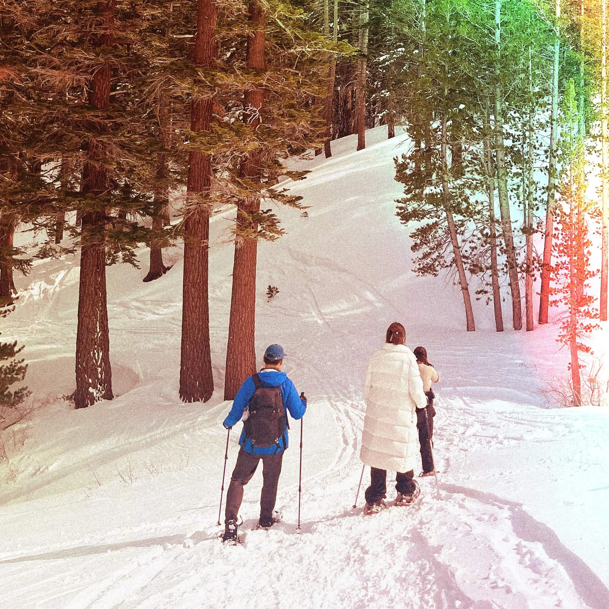 Snowshoeing on a snow-covered winter trail near Mammoth Lakes, California