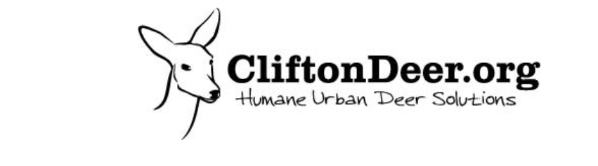 CliftonDeer.org Update