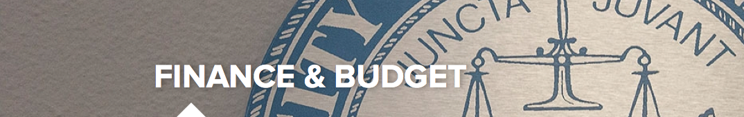 City of Cincinnati Budget Engagement