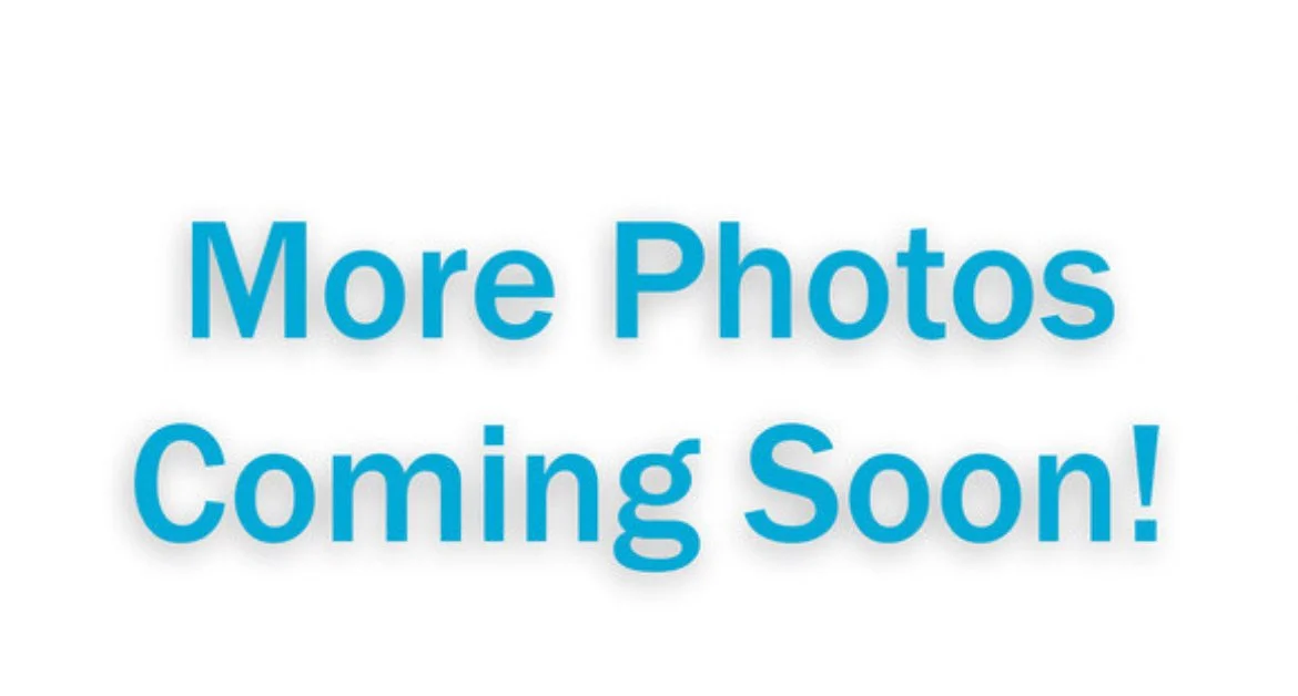 morephotoscomingsoon.jpeg