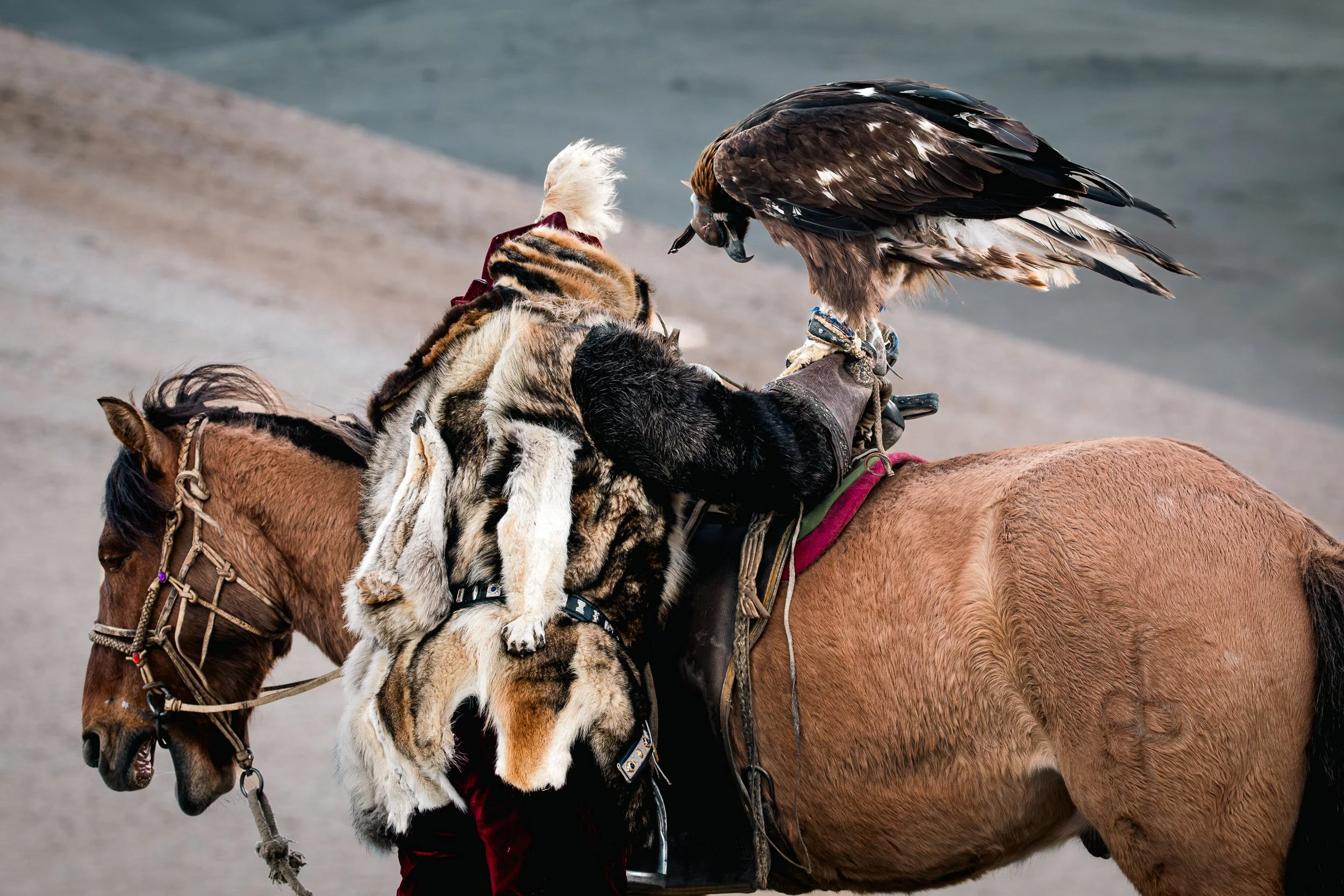 Mongolia_forIG-14.jpg
