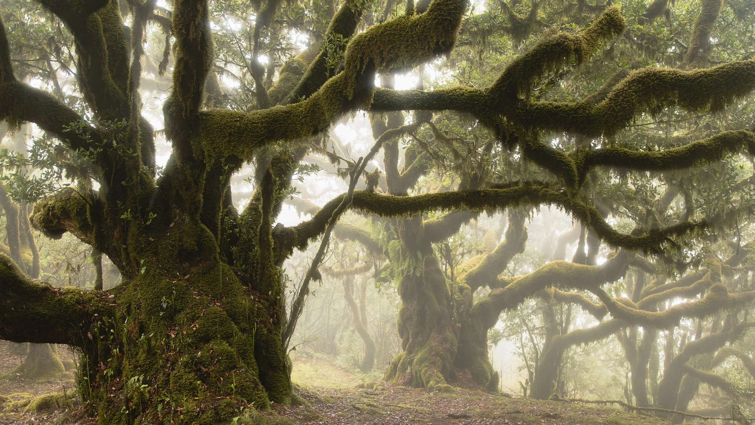 Madeira_2023-8.jpg