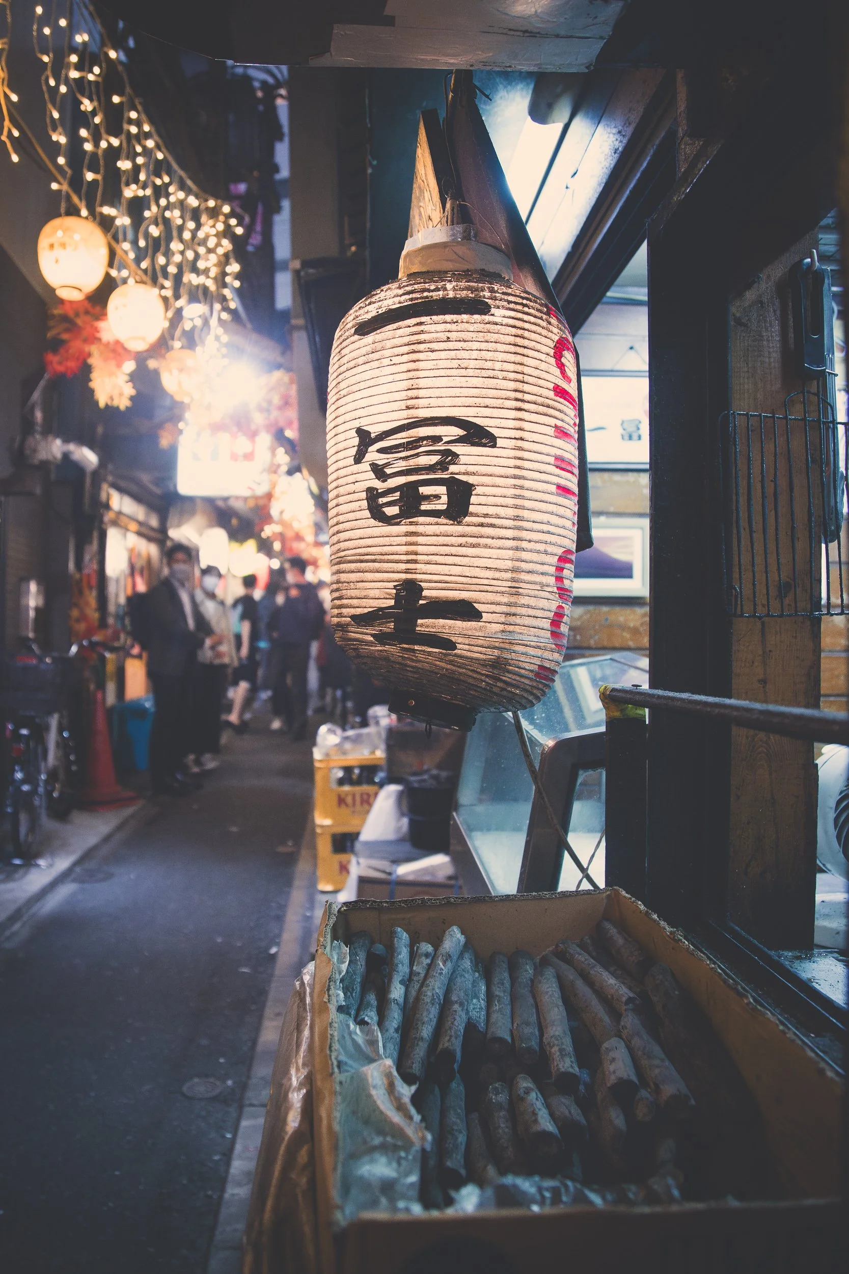 Omoide Yokocho_Under the Lanterns_3.jpg