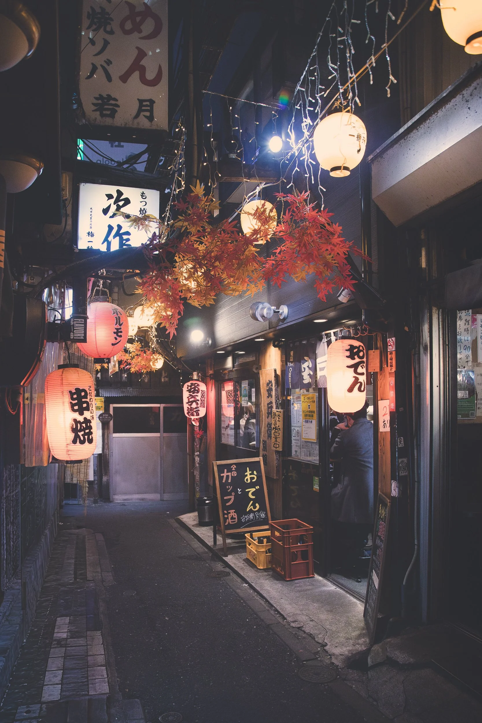 Omoide Yokocho_Under the Lanterns_2.jpg