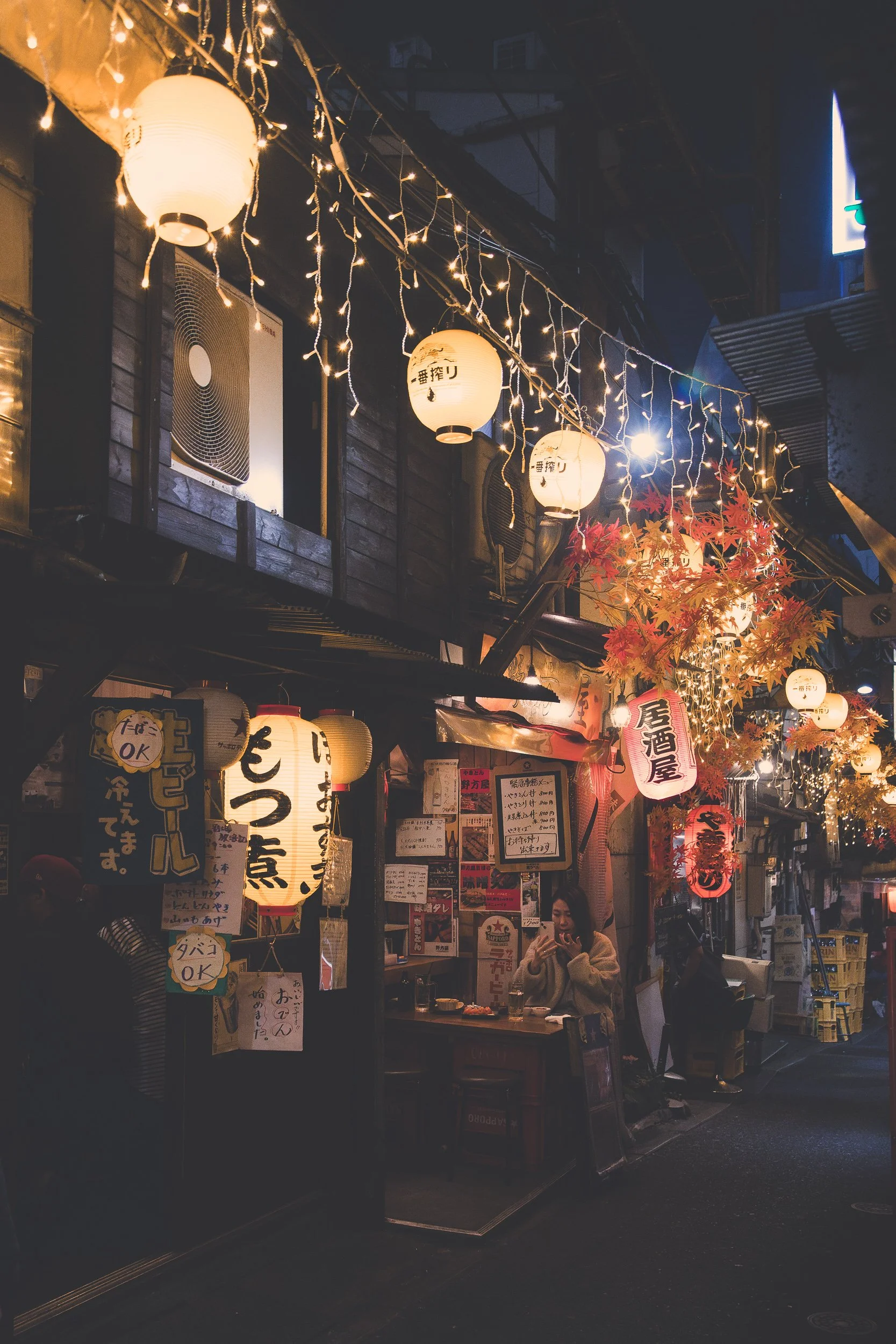 Omoide Yokocho_Under the Lanterns_1.jpg