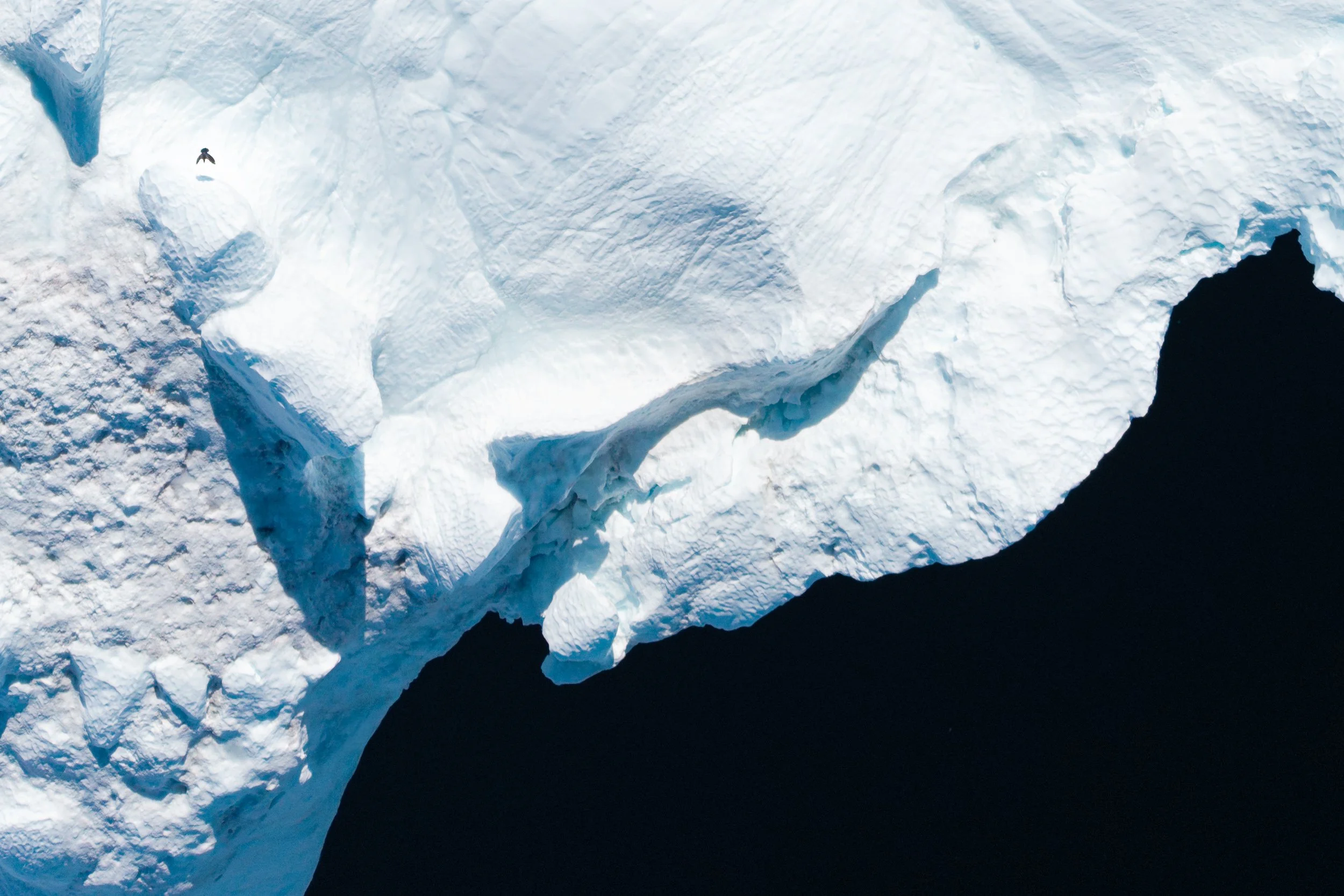Greenland_aerials_edge of ice_2025-3.jpg