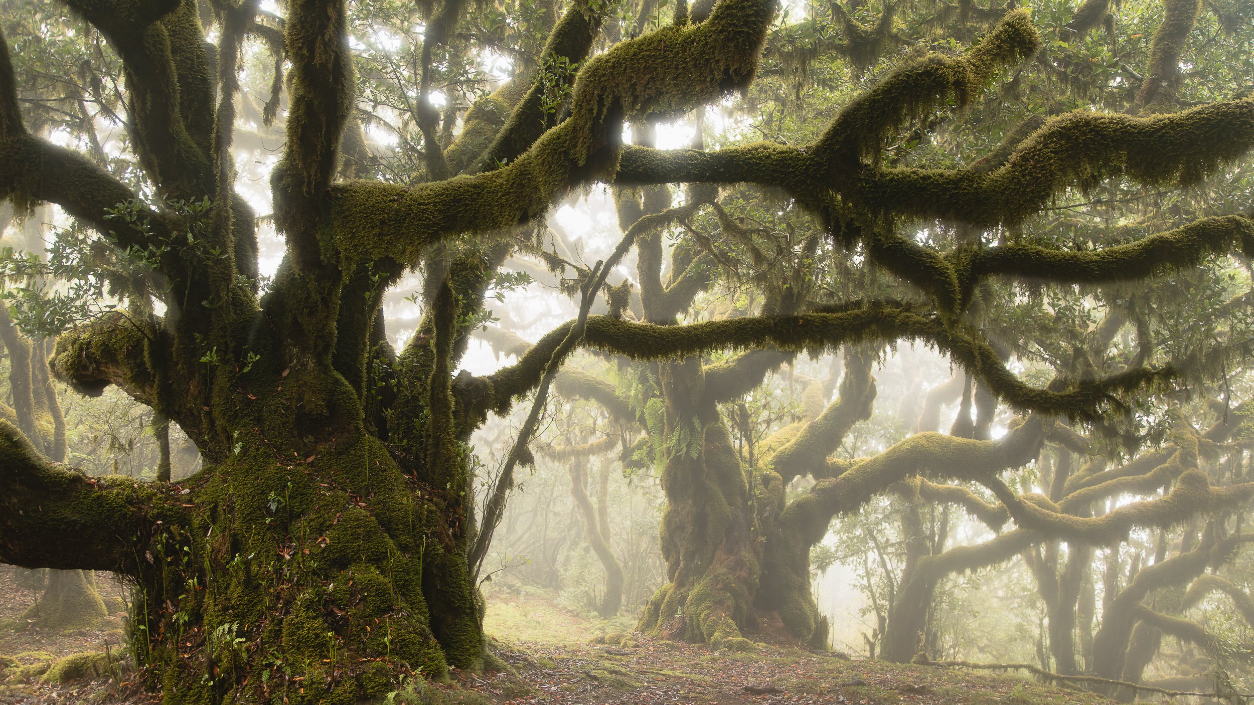 Madeira_2023-8.jpg