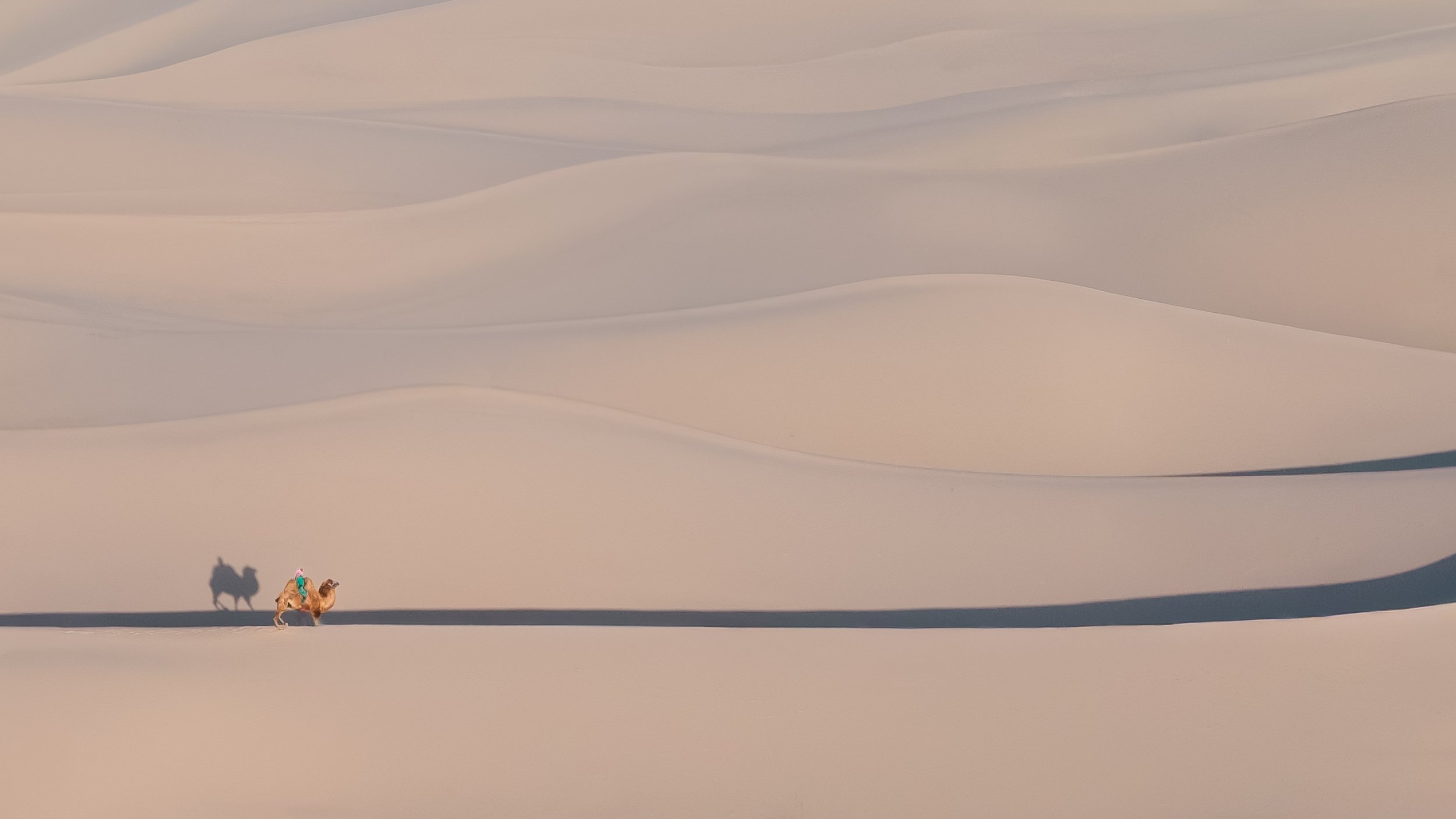 Desert Echoes of the Gobi 