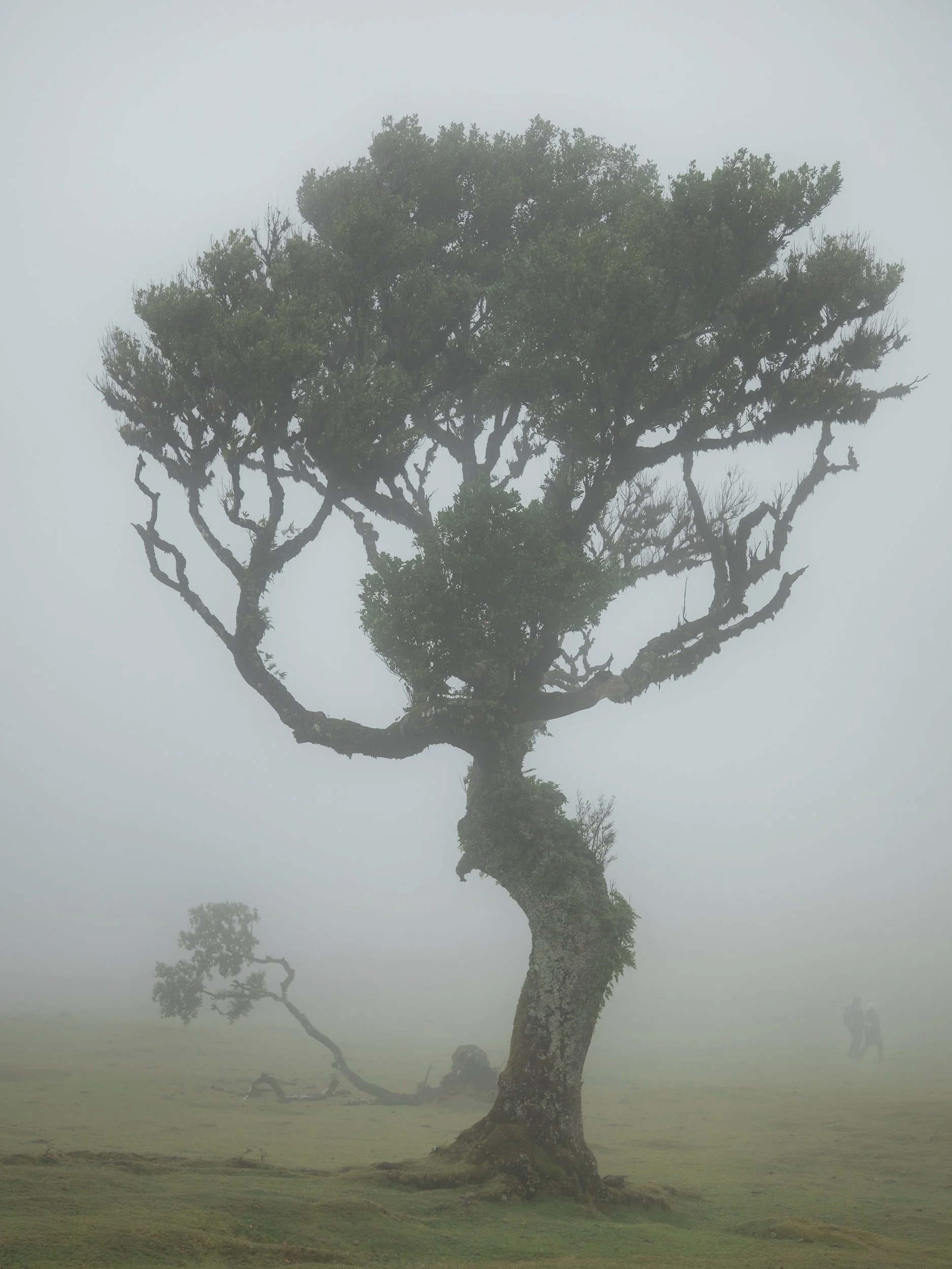 Madeira_2023-3.jpg