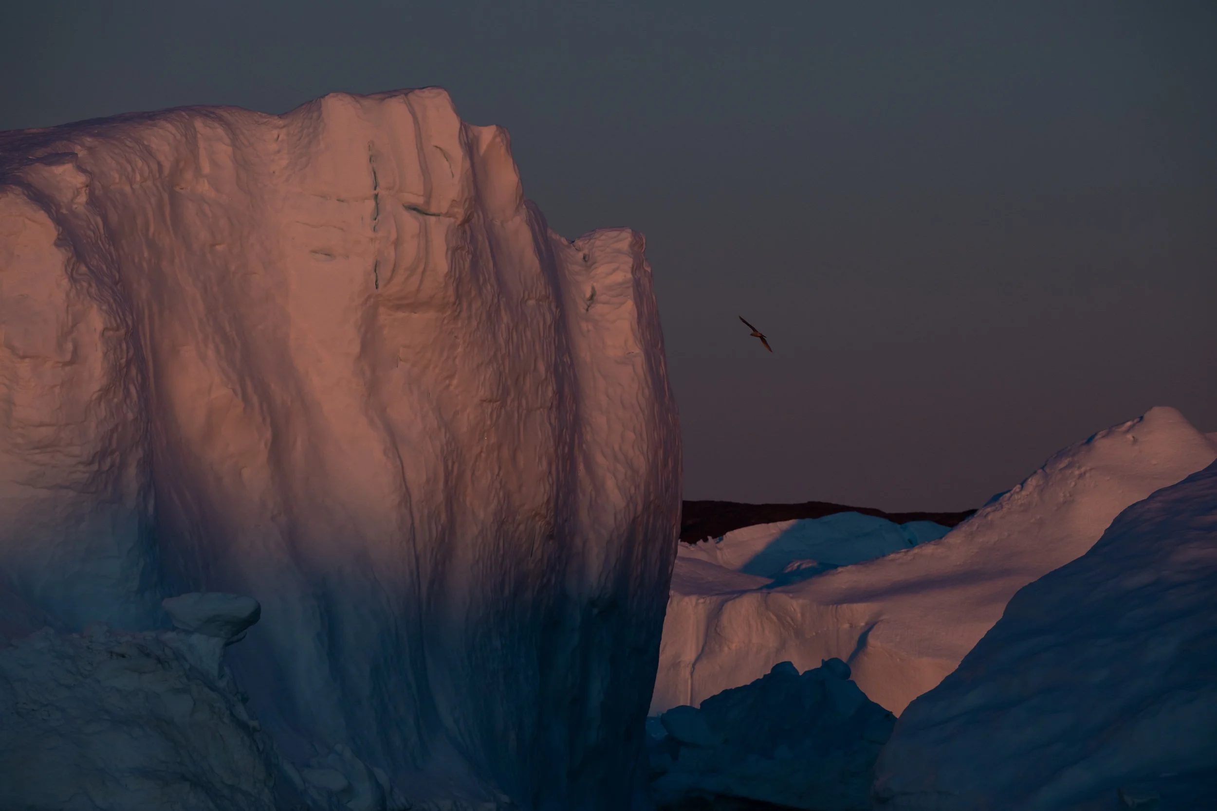 greenland_polardusk-4.jpg