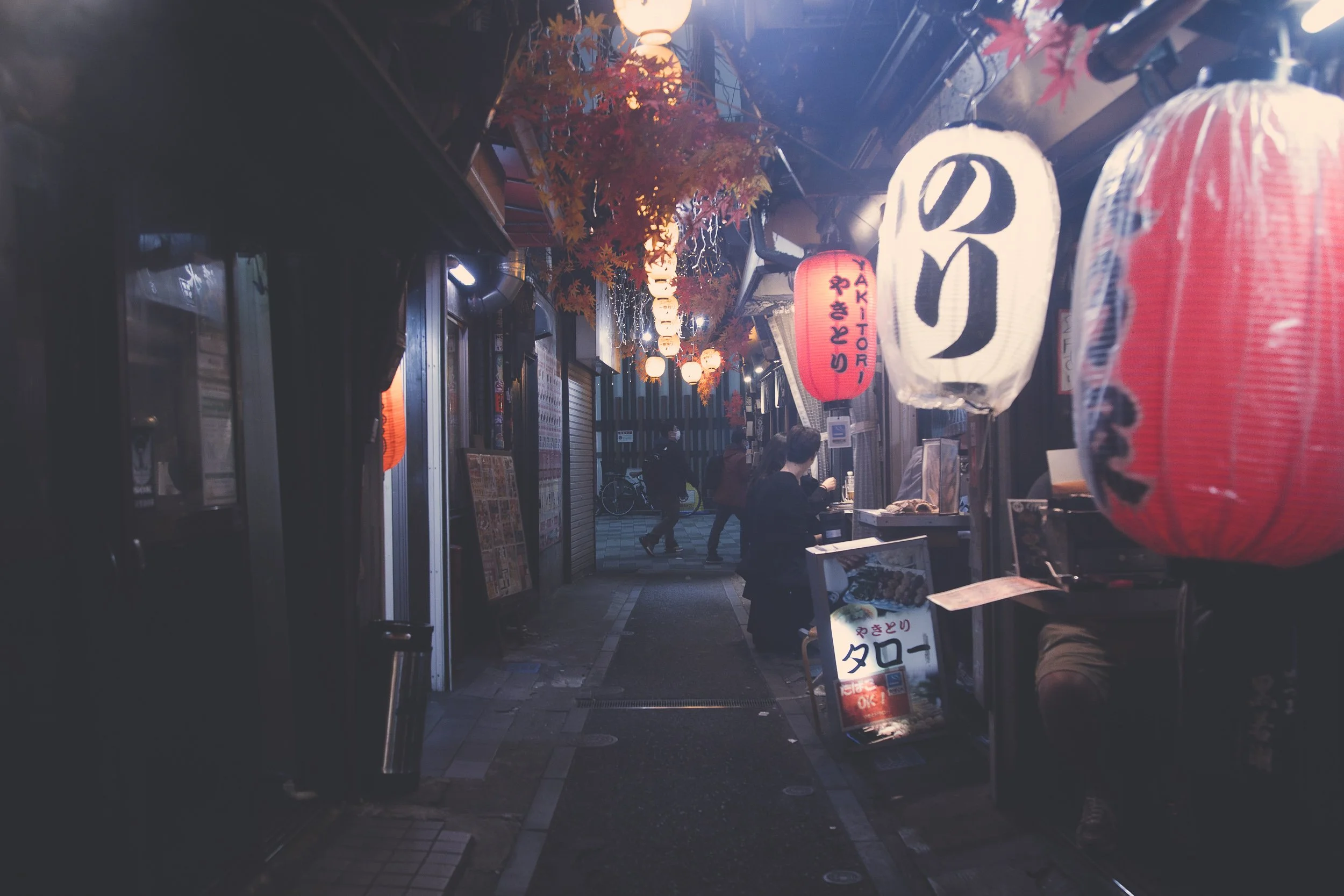 Omoide Yokocho_Night Crossing_3.jpg