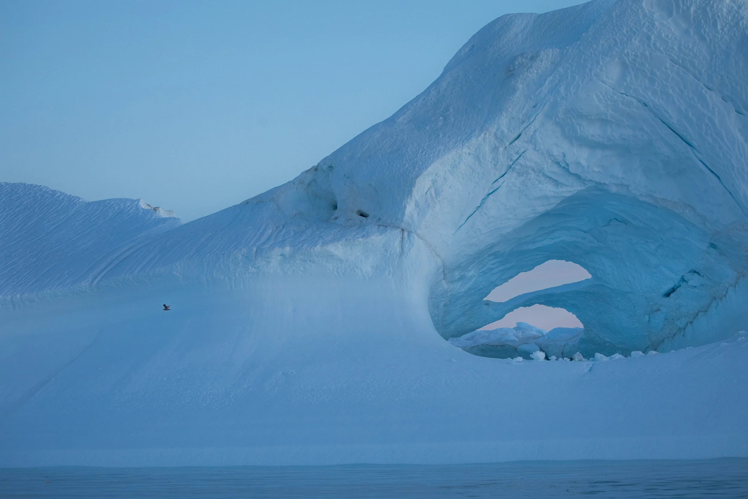 Greenland_Blue hour forms-2.jpg