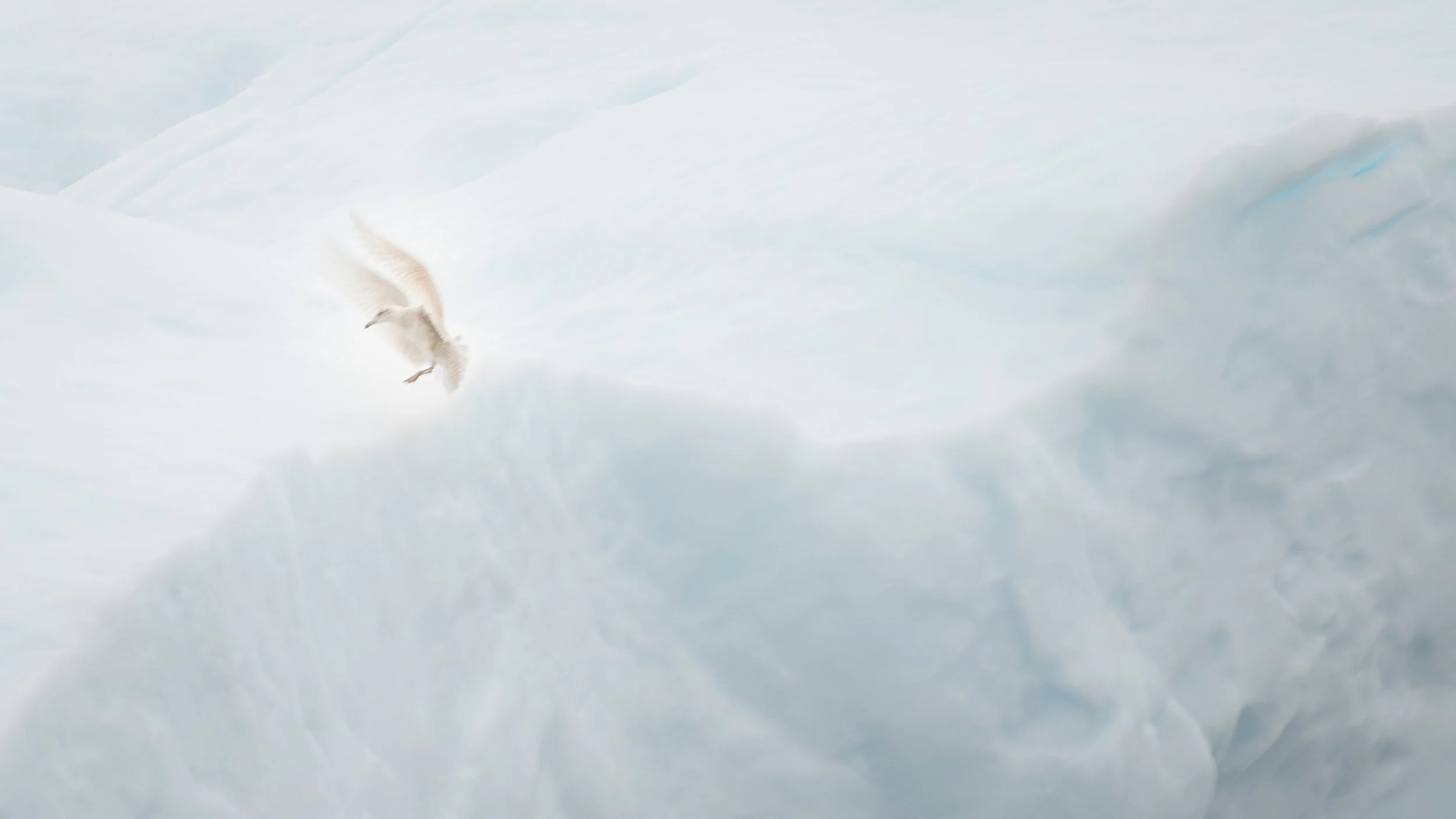 Greenland_dissolving forms-5.jpg