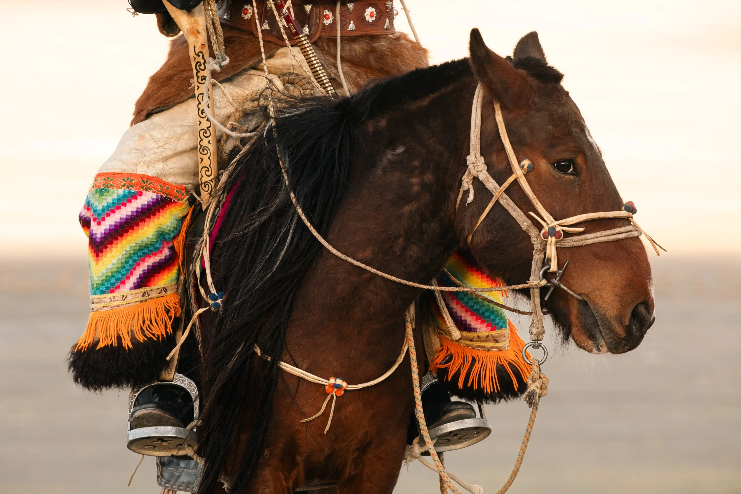 Mongolia_forIG-2.jpg