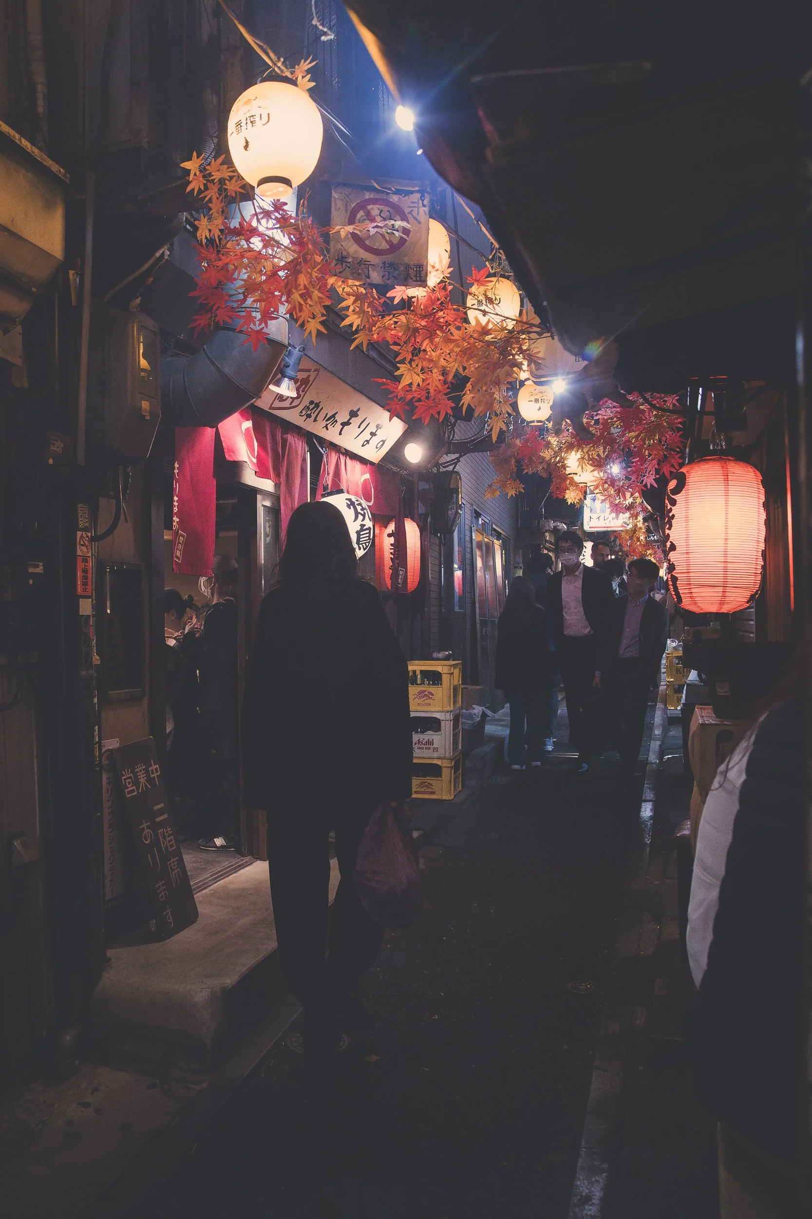 Omoide Yokocho_Night Crossing_2.jpg