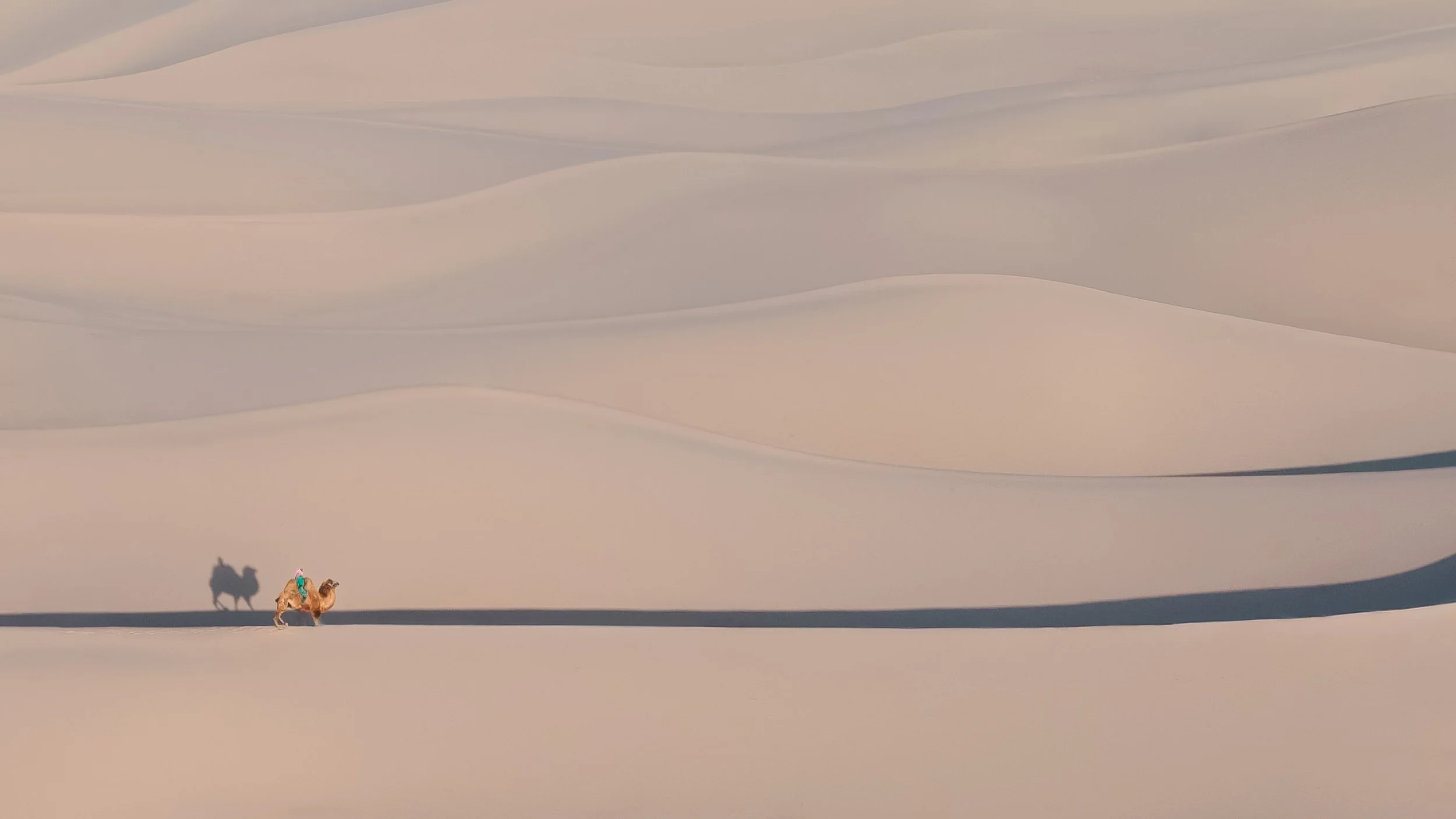 mongolia-25.jpg