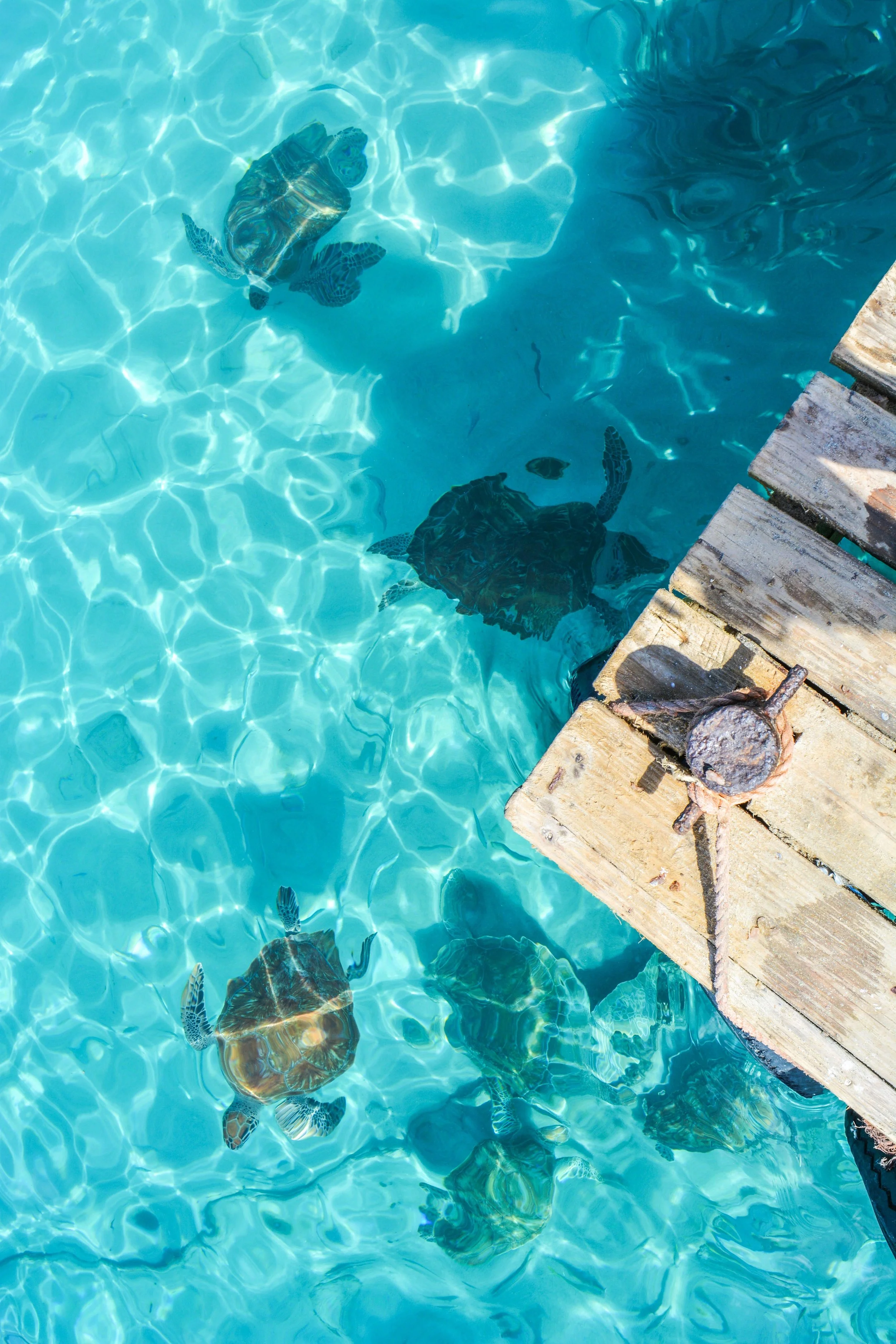 Les 10 activités nautiques incontournables à faire à Curaçao