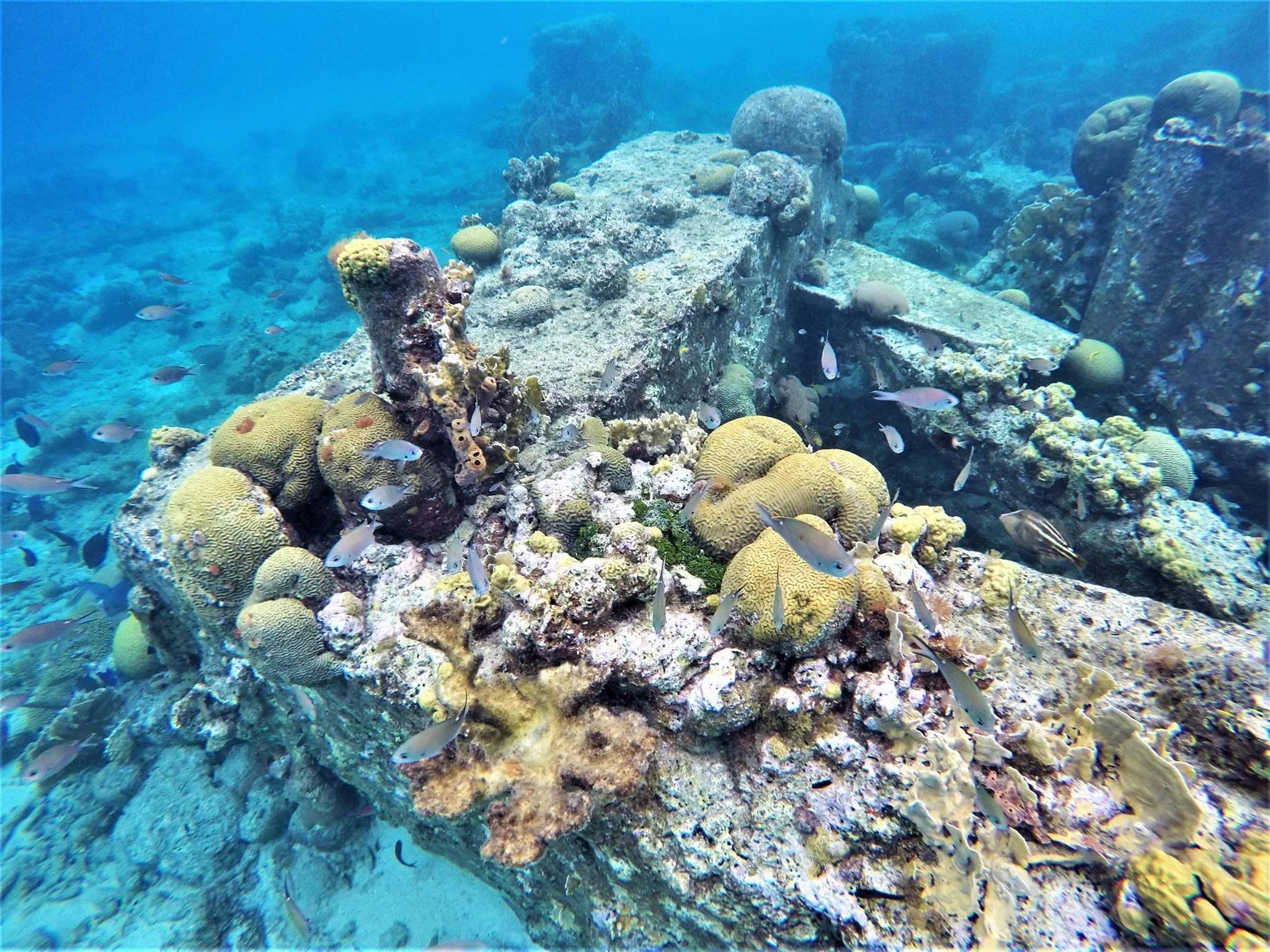 snorkeling-curacao.jpg