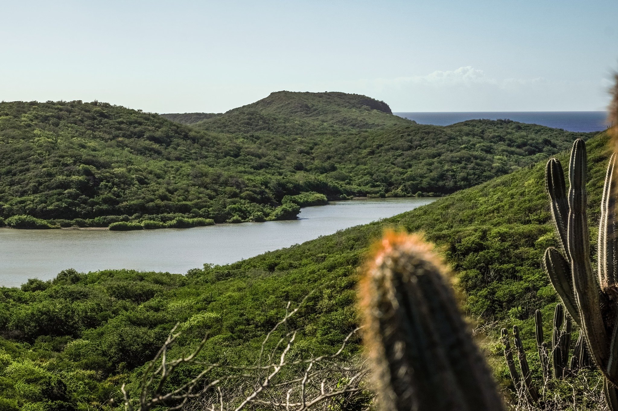 marijke-curacao.jpg