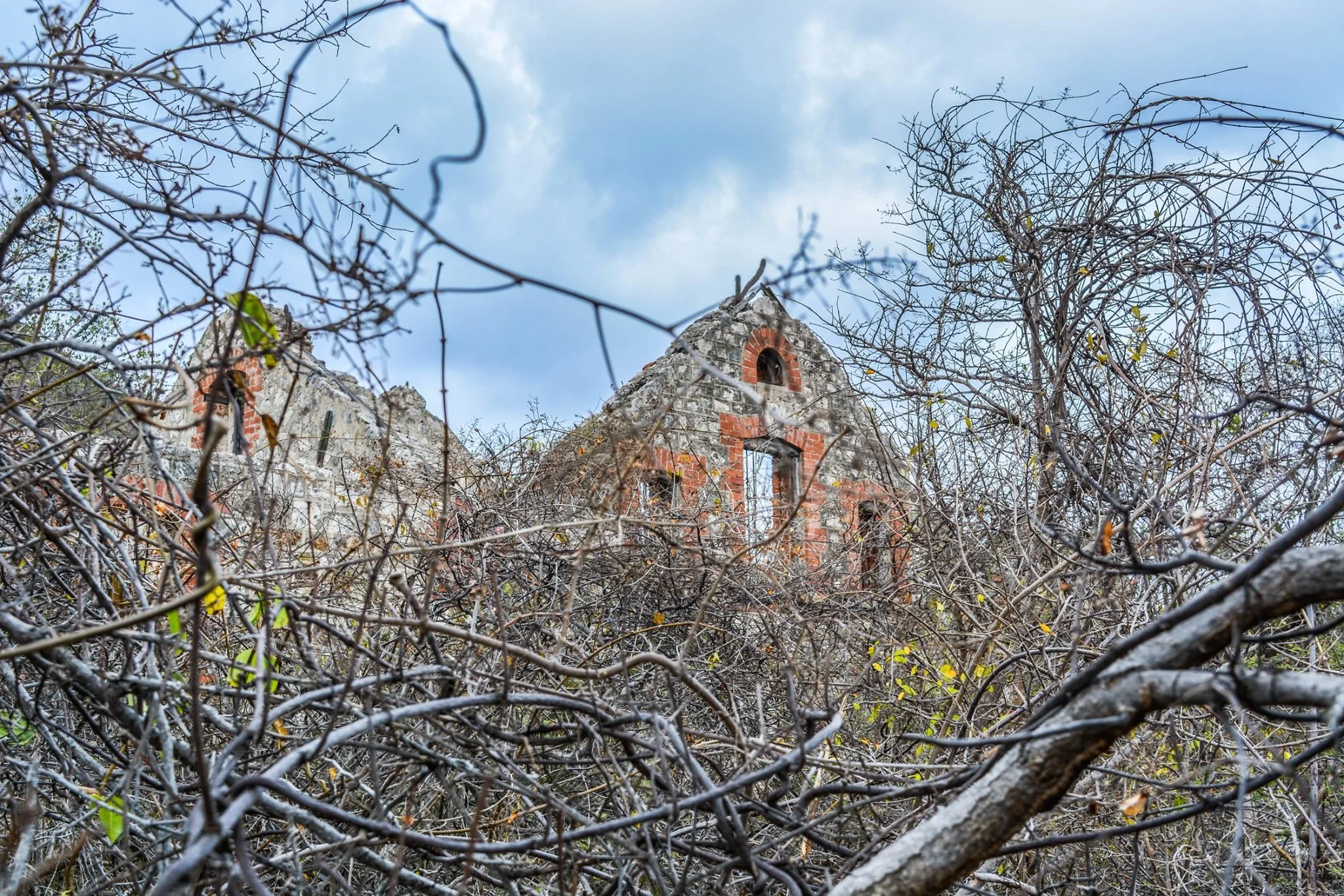 seru-bientu-curacao.jpg