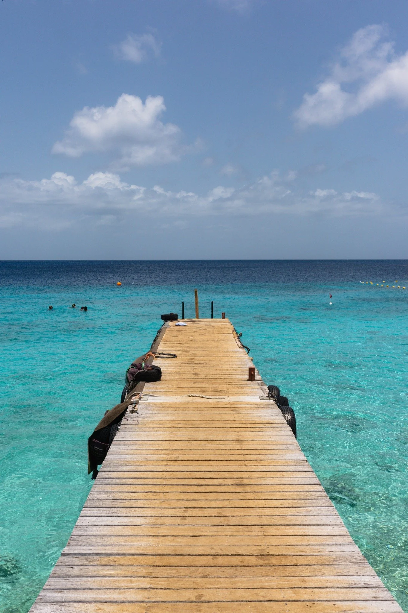 Le bleu de Playa Kalki n&rsquo;a jamais besoin de filtre. 💙

Entre la mer cristalline et ce long quai qui s&rsquo;avance vers l&rsquo;horizon, c&rsquo;est le genre d&rsquo;endroit o&ugrave; le temps semble ralentir. Un petit coin de Cura&ccedil;ao o