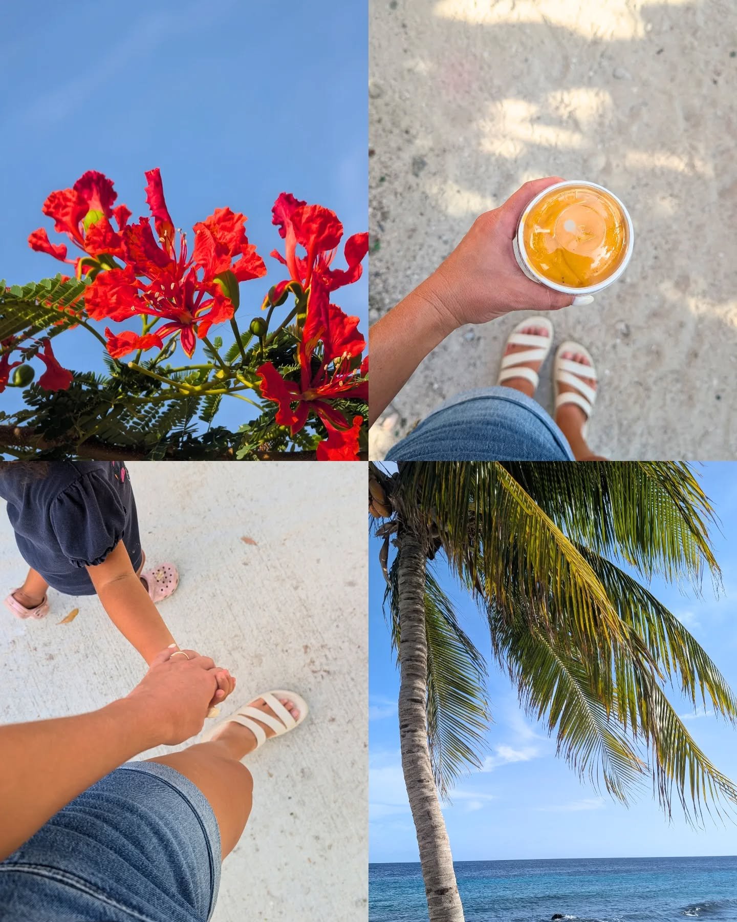 Douce apr&egrave;s-midi de mercredi &agrave; Cura&ccedil;ao. // Sweet Wednesday afternoon in Cura&ccedil;ao. ☀️🌴

#curacaoisland #canadianexpat #visitcuracao #travelcuracao #curacaolife