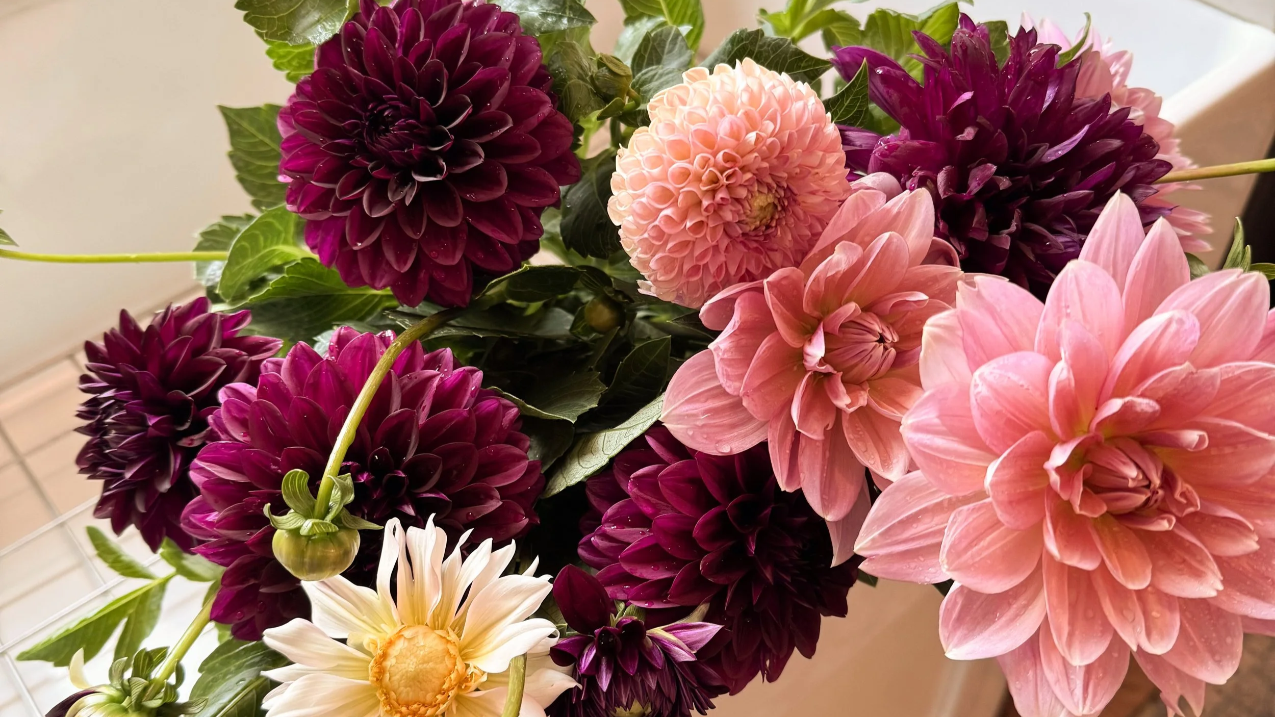 Inspiration: A Garden is for Everyone.