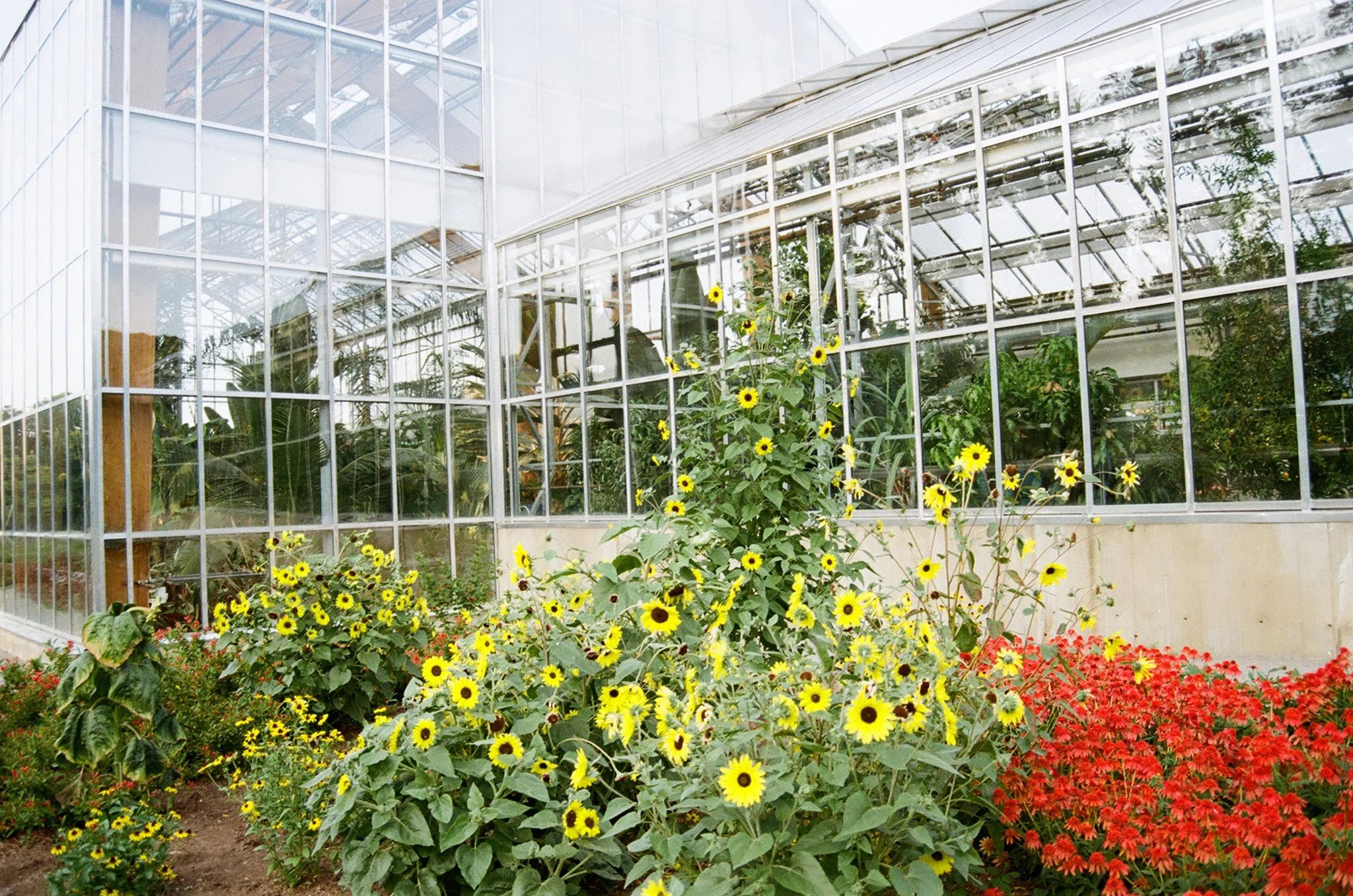 Research and Analysis