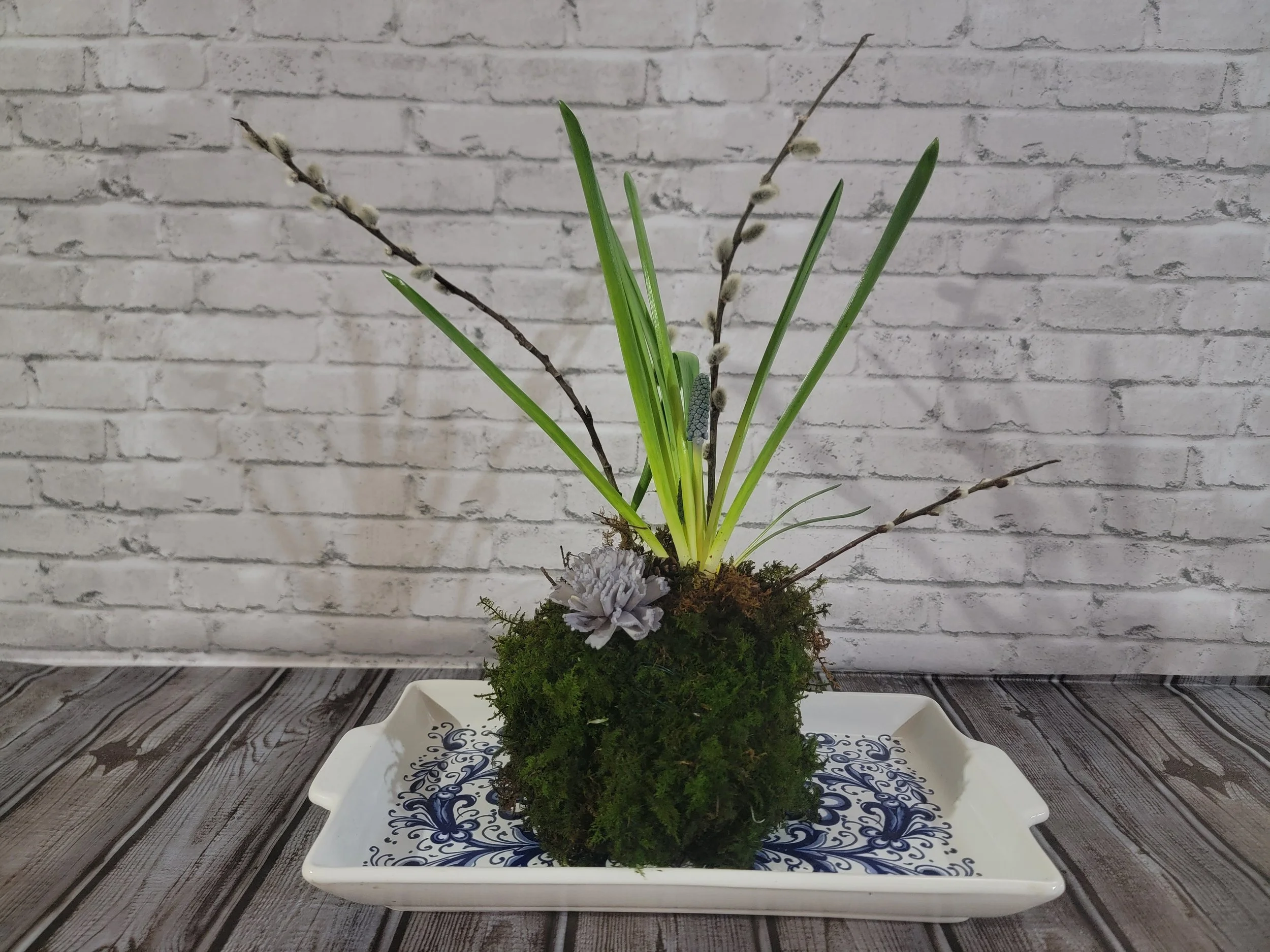 First attempt at kokedama with muscari bulbs